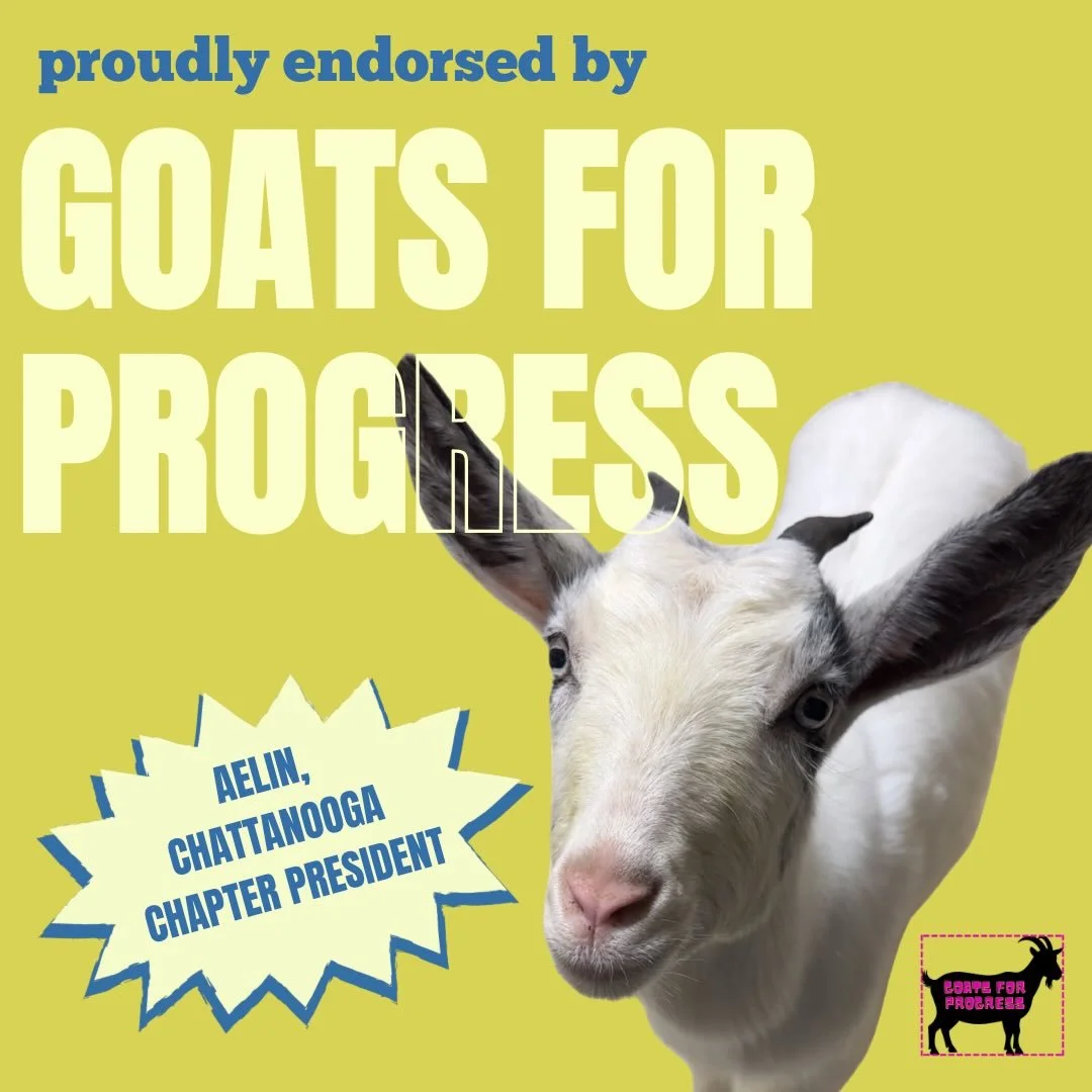 We are proud to announce an endorsement from Goats for Progress, Chattanooga Chapter! 

After a long, treat-filled interview, chapter president Aelin determined that Elea was the best grassroots candidate. (And trust us, she knows all about the best 