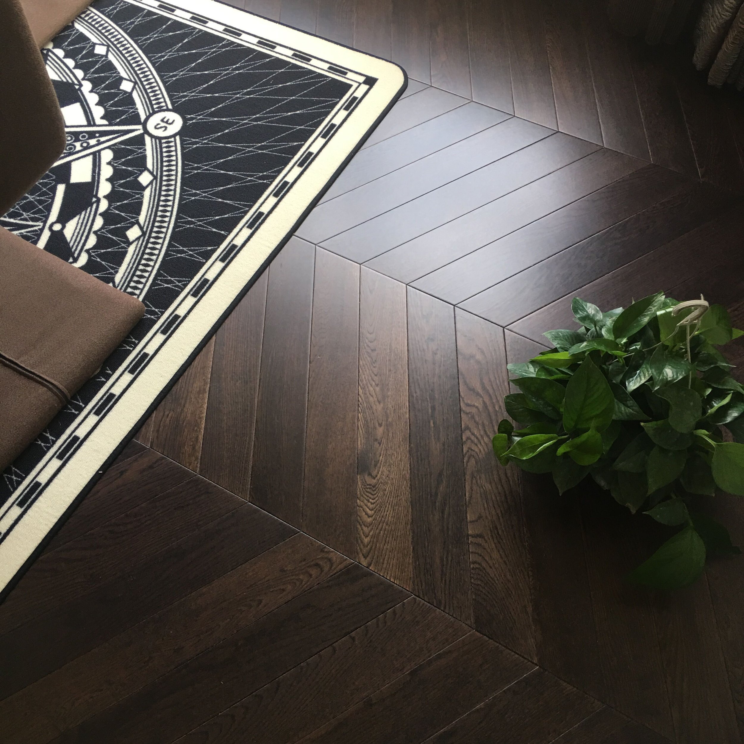 suelos parquet de madera. con un patrón en forma de chevron, con una planta de hojas verdes y una mesa o alfombra con diseño en negro y blanco.