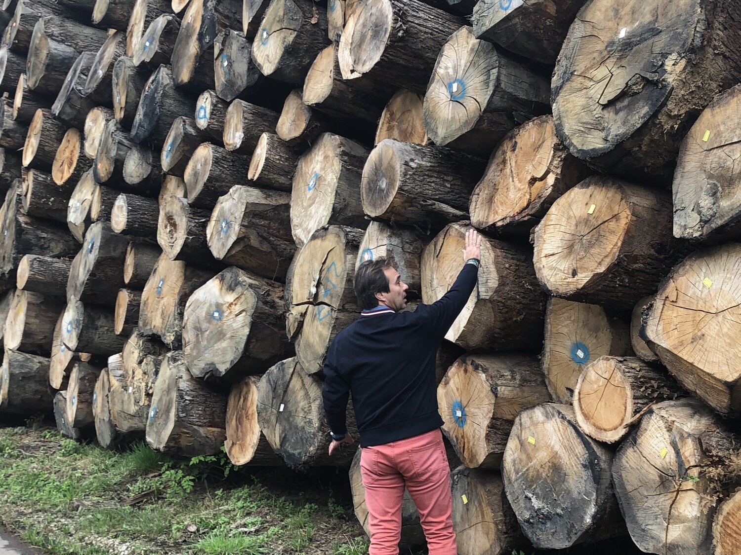 Hombre tocando una pila de troncos apilados de madera.