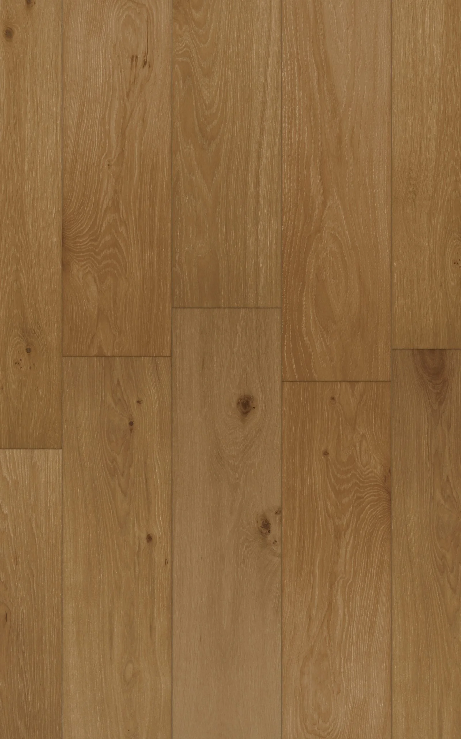 Melides_Painel-scaled