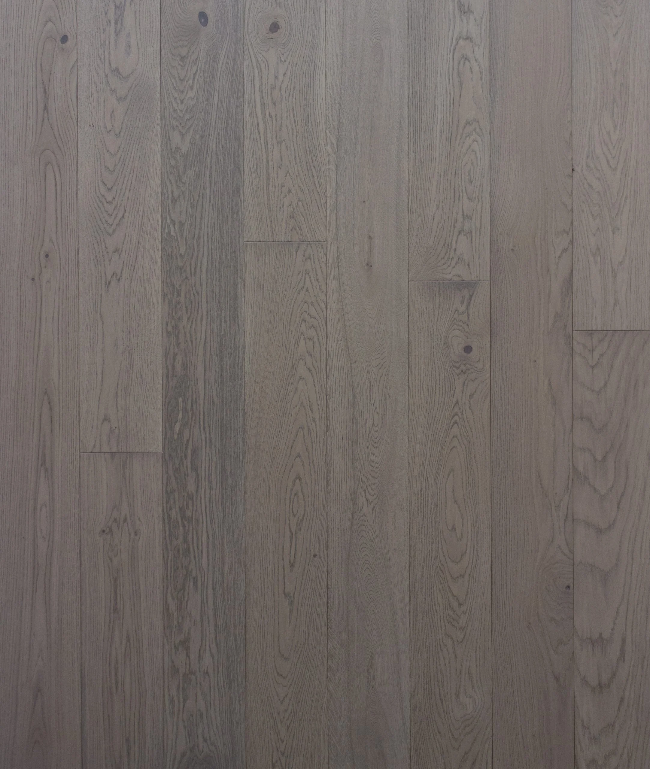 Liz_Painel_Final-scaled