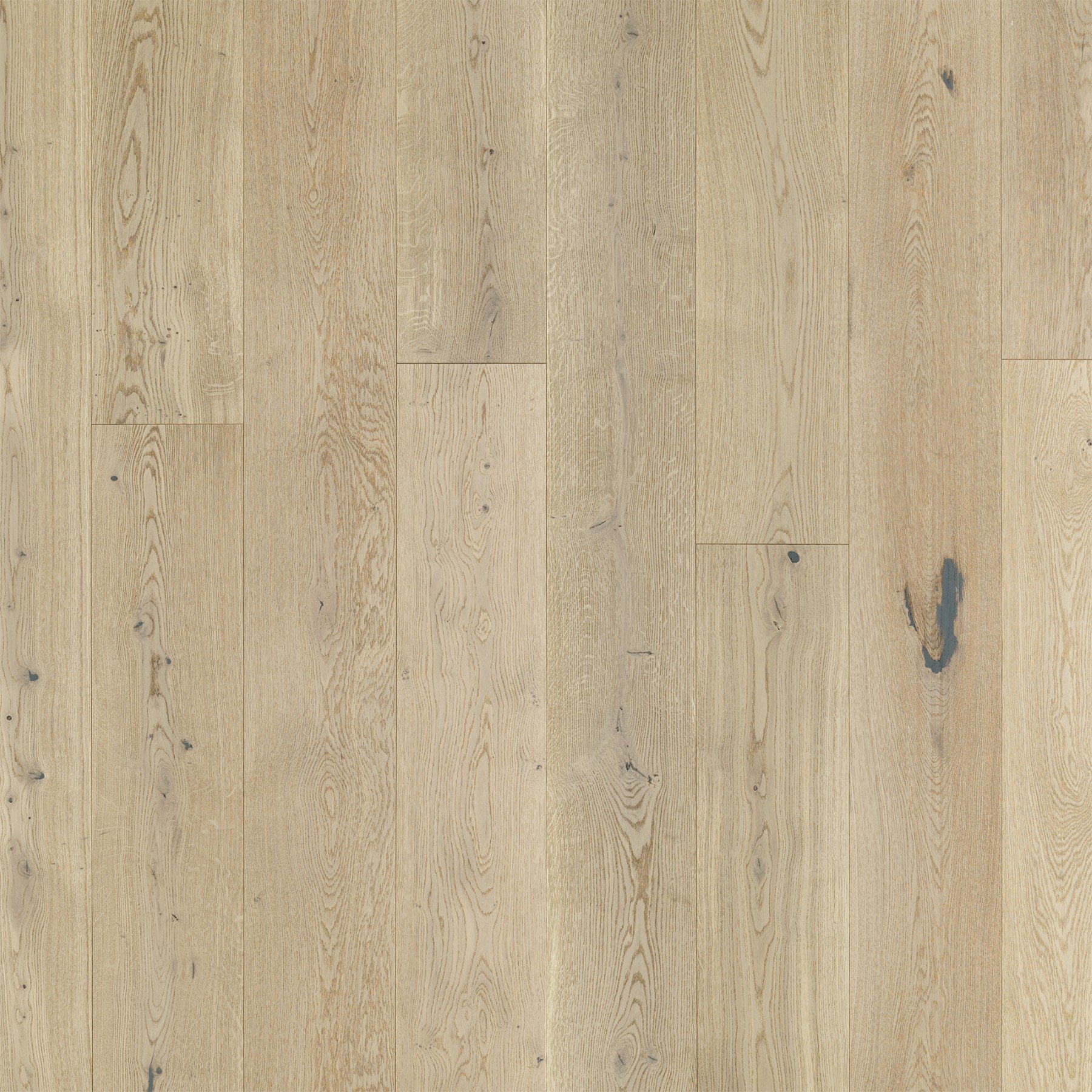 Alva-Carvalho-Europeu