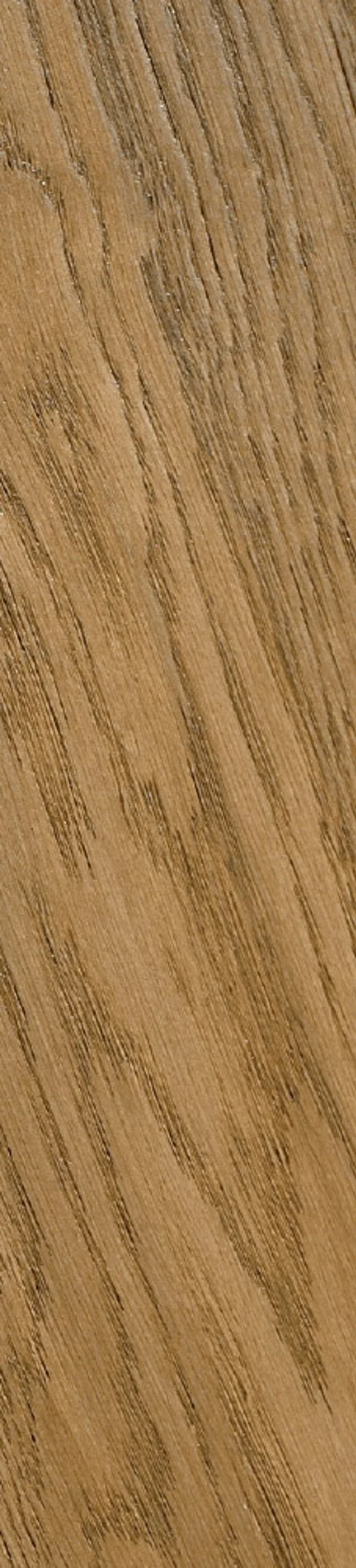 businessOLDBnocebiondo