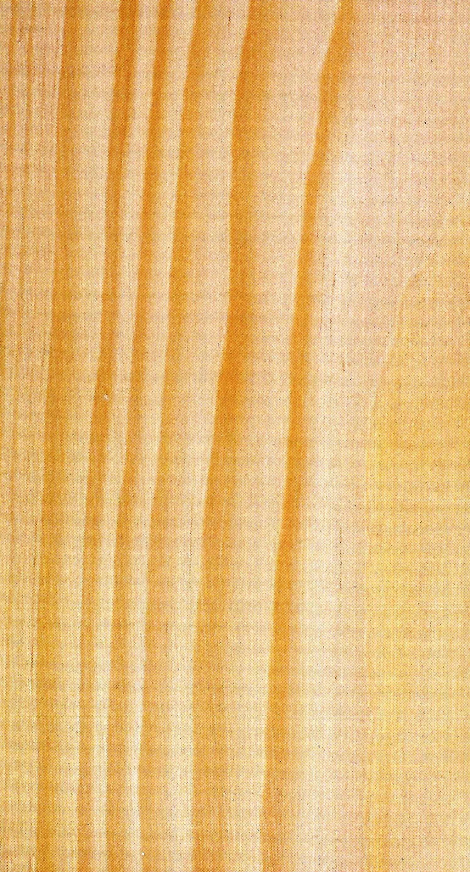 Pino Alerce Siberiano