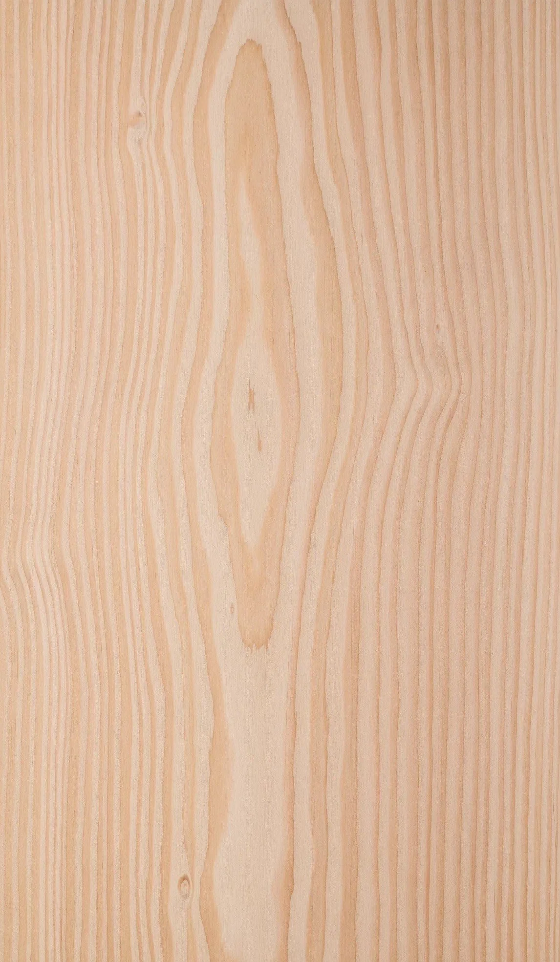 Douglas Fir - Select - Sample-2086a02e.jpg
