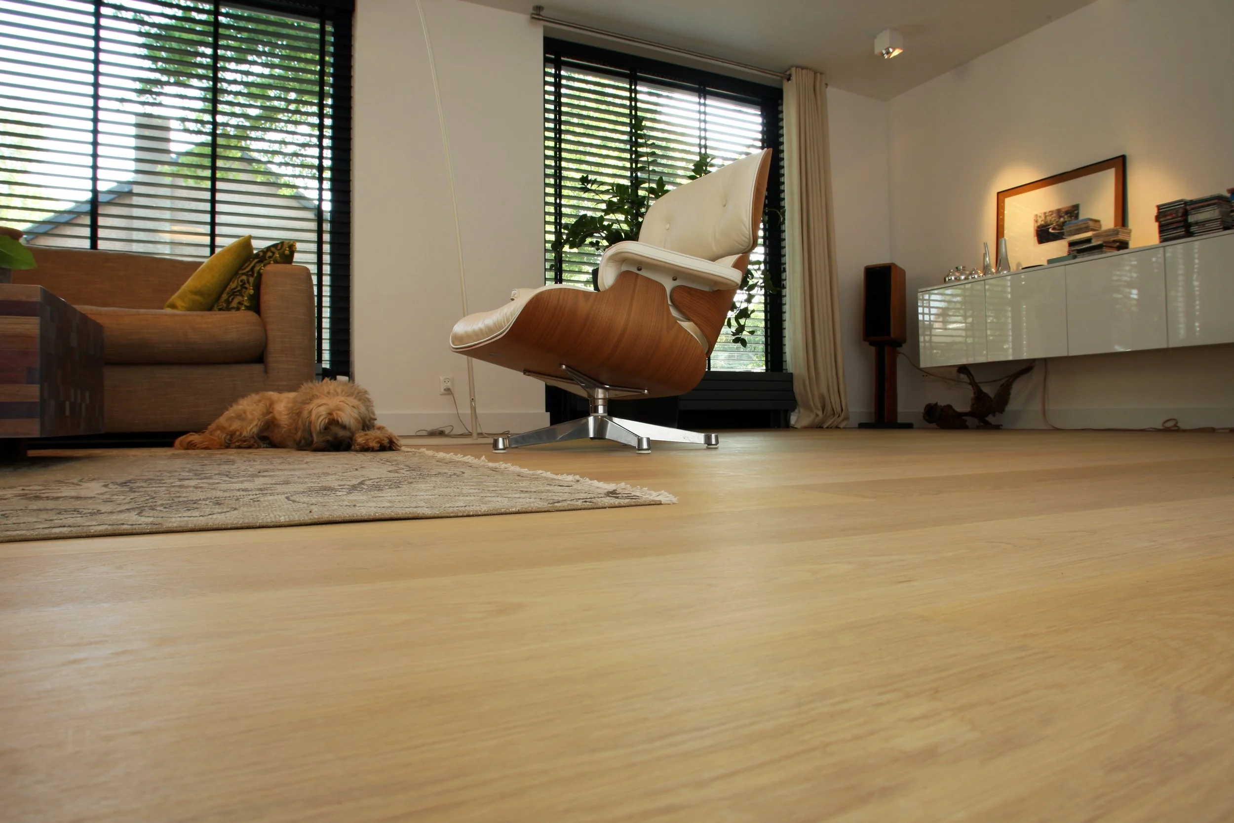 Sala moderna con sillón de madera y cuero blanco, un perro acostado en la alfombra, ventanas grandes con persianas negras, y una consola con libros y objetos decorativos.