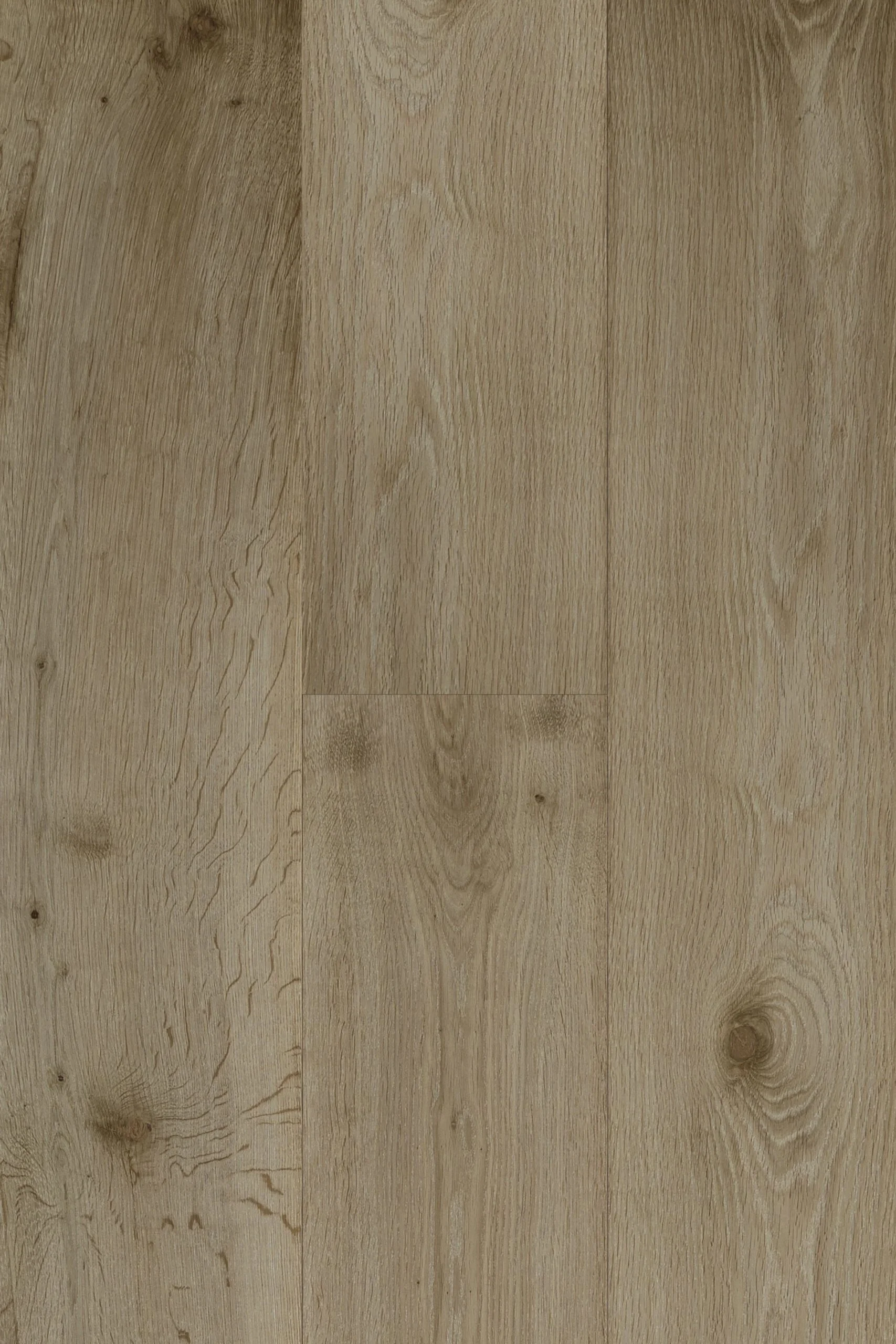 Carrera_LARIVA-scaled.jpg