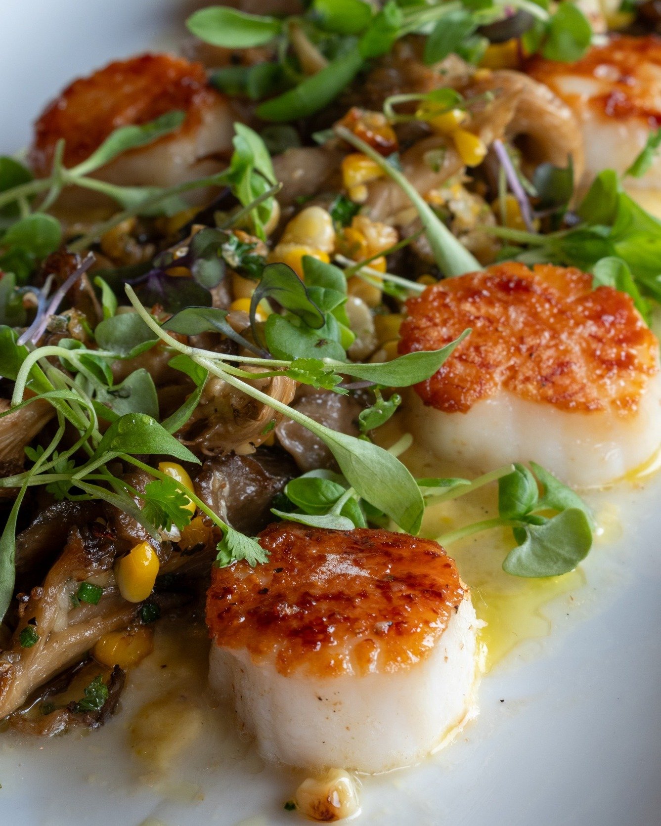 Trade the midway for the water! 🌊✌🏽

Chef&rsquo;s Summer Seared Sea Scallops play nice with roasted corn, calabrian chili, pancetta + roasted wild mushrooms. Sweet, smoky, and with a little spice, each bite is exactly how these last golden days by 