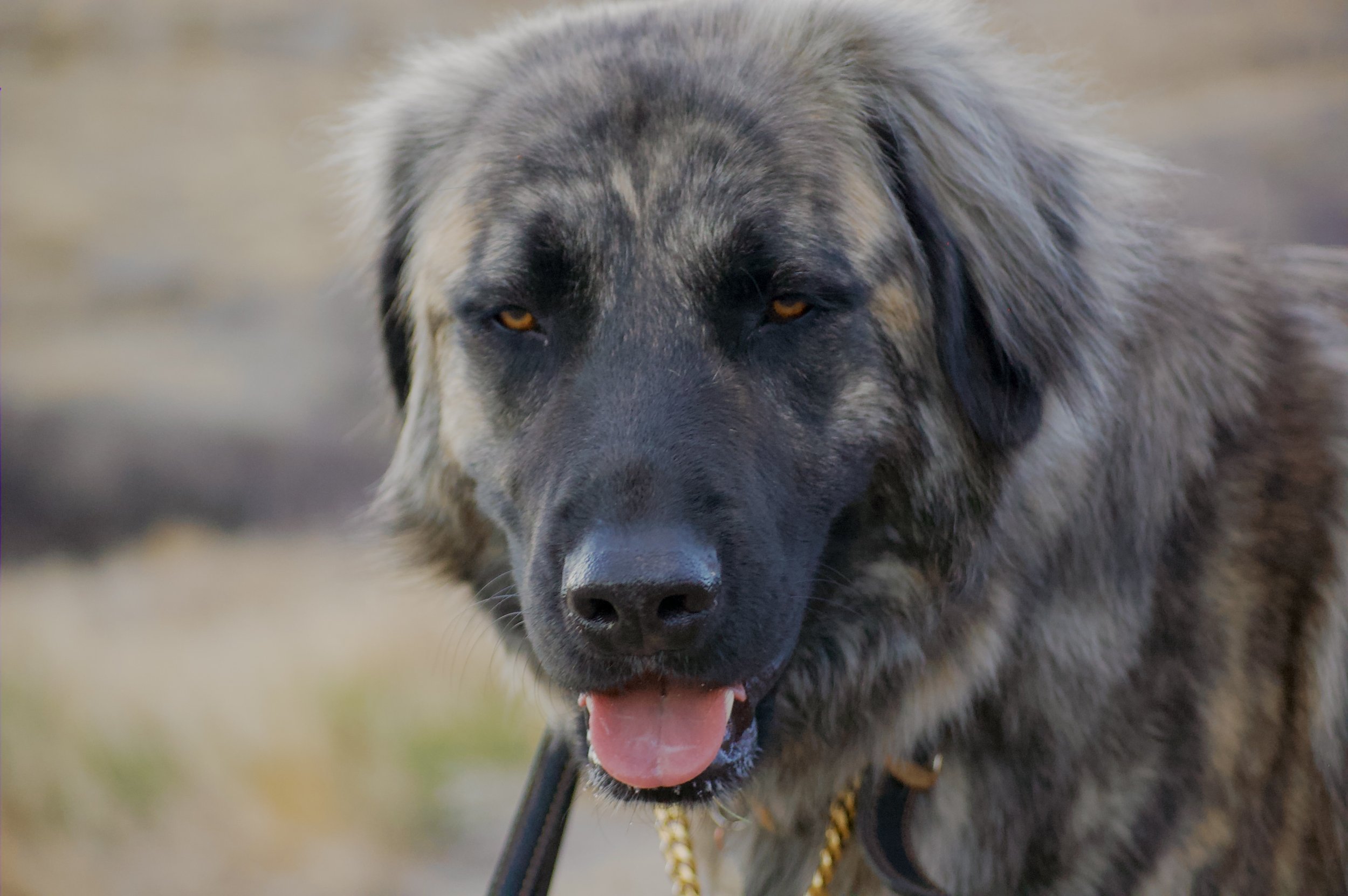 Westbound Throwdown CrossFit Competition 