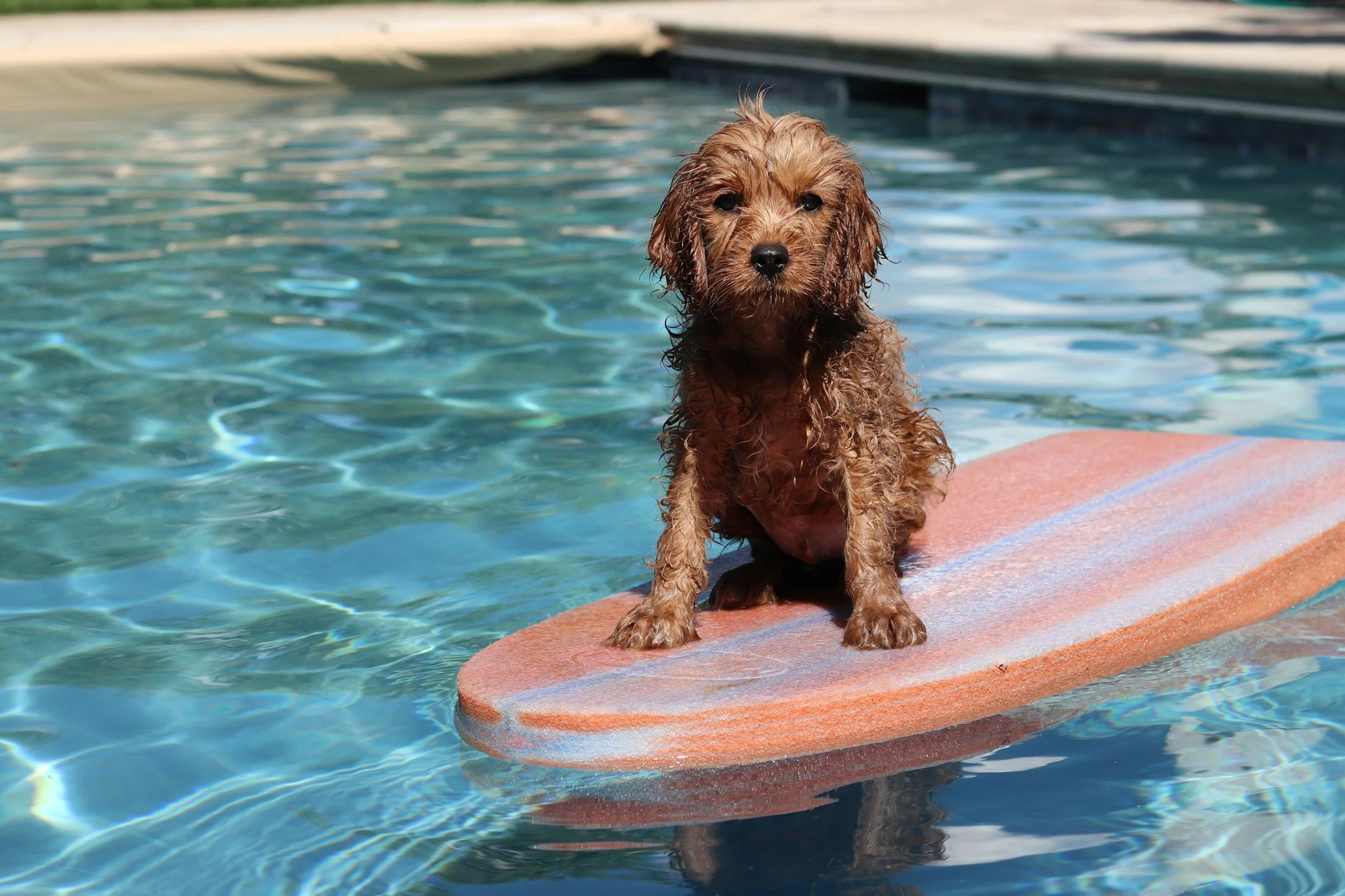 Paddleboarding Class - Part 1