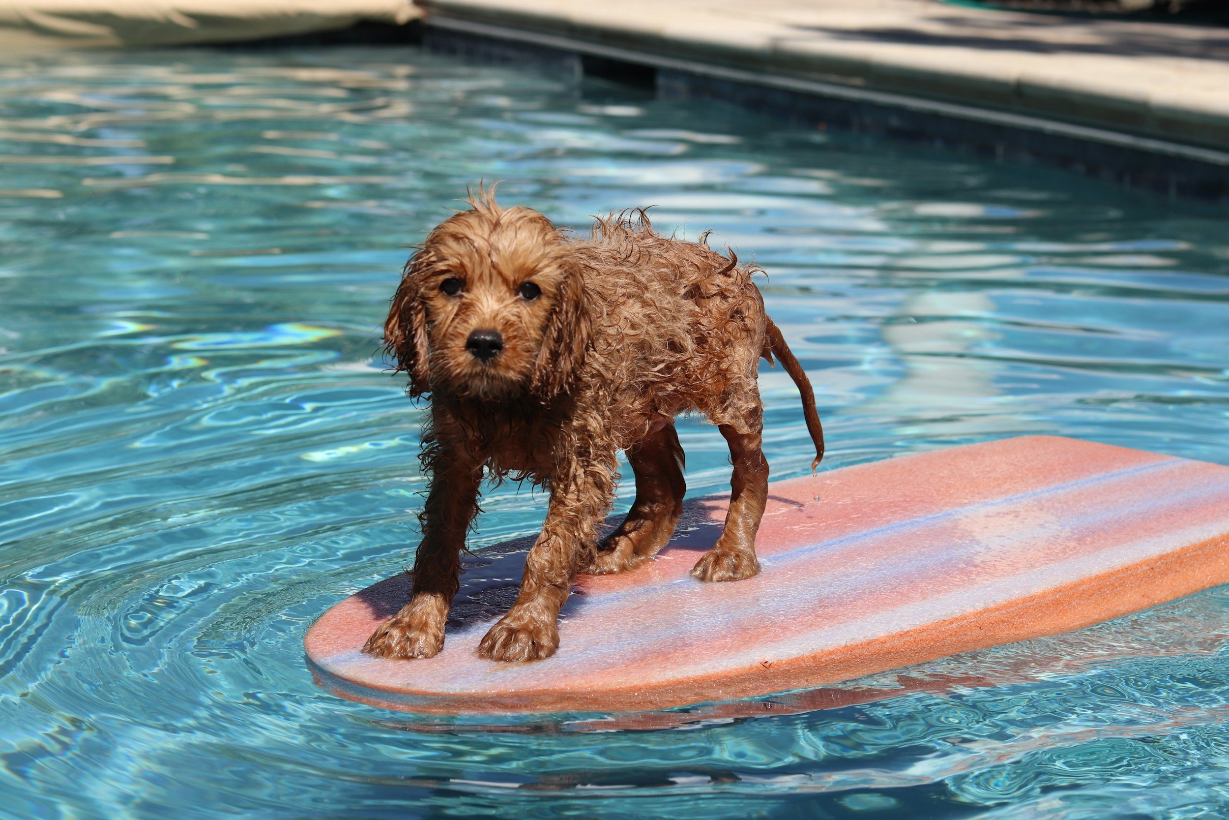 Paddleboarding Class - Part 2