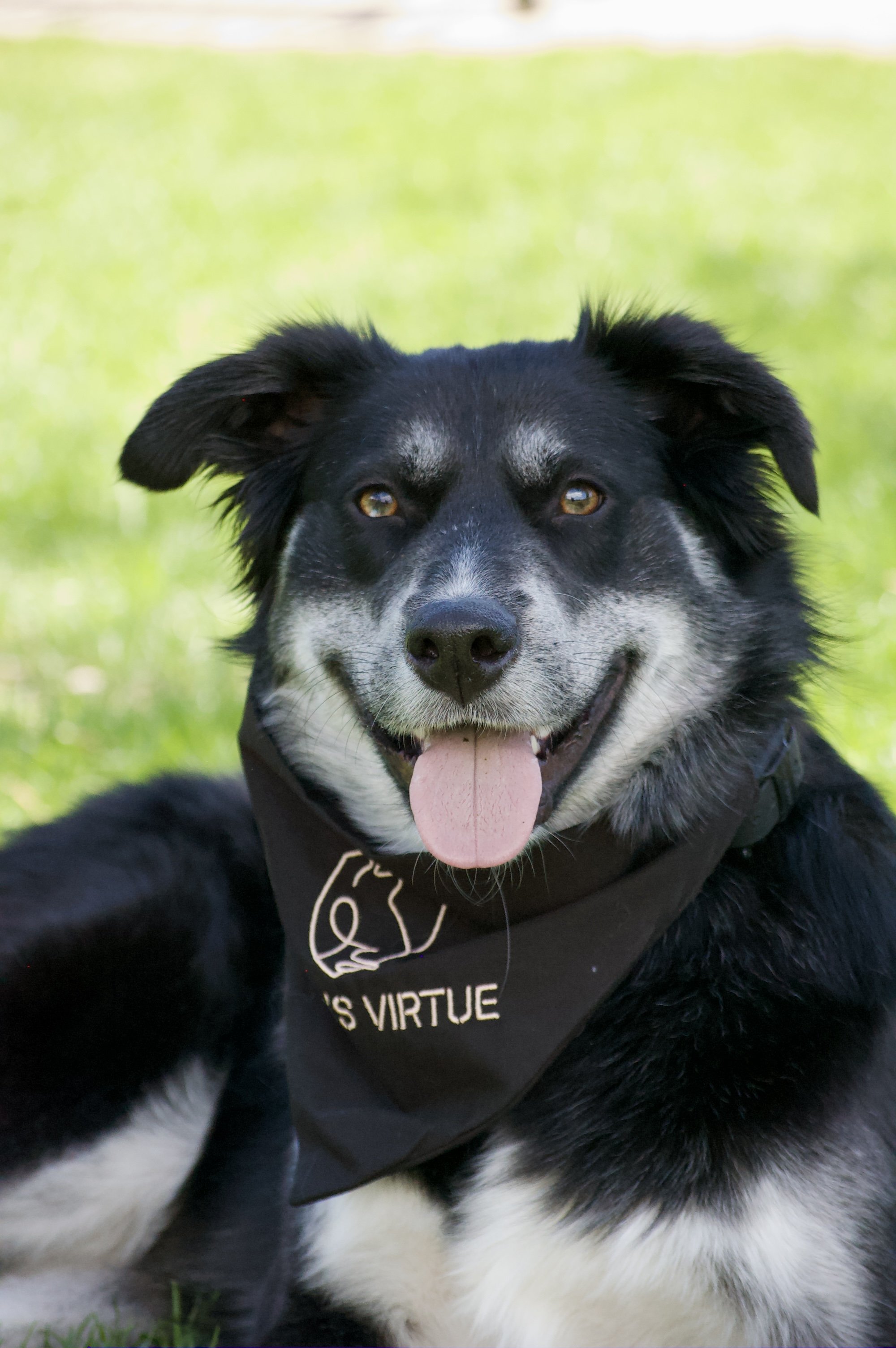 Socialization Class -September 