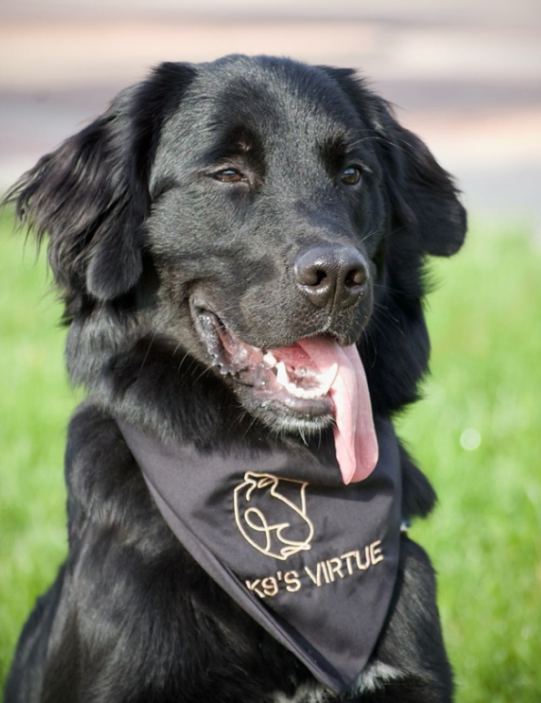 AKC Canine Good Citizen (CGC) Practice Class 1