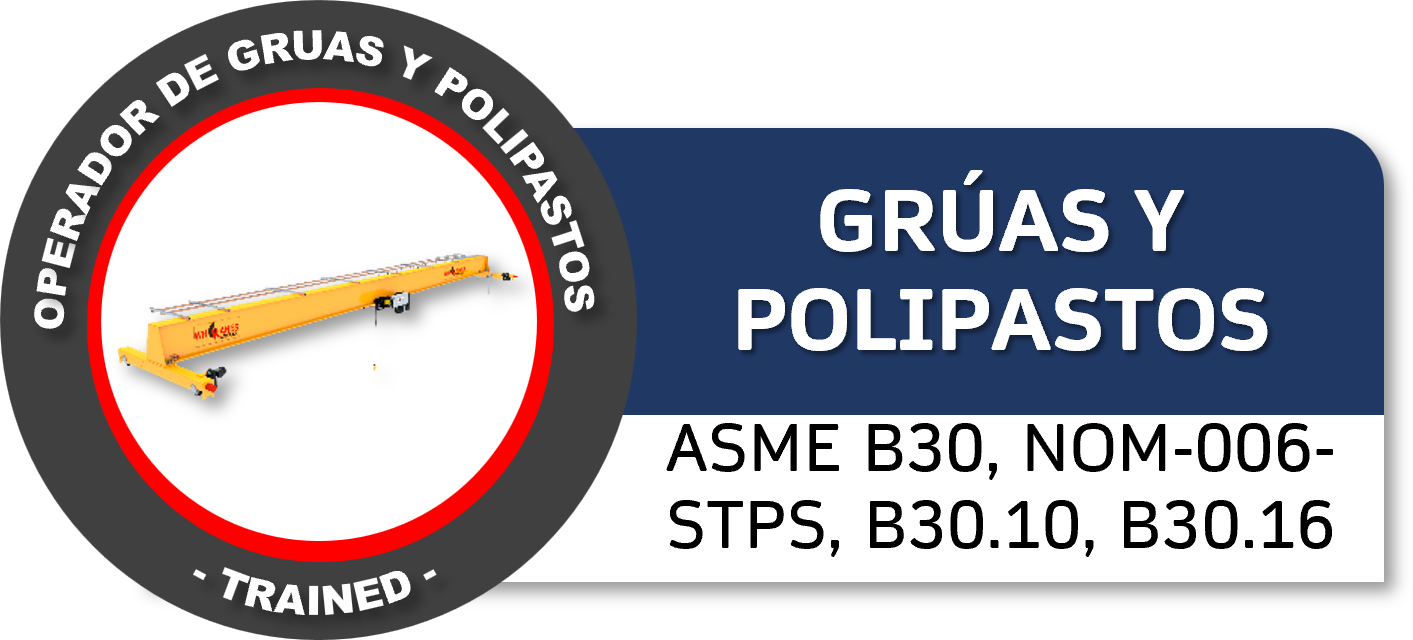 sello del curso de operacion de polipastos y gruas viajeras con dc3