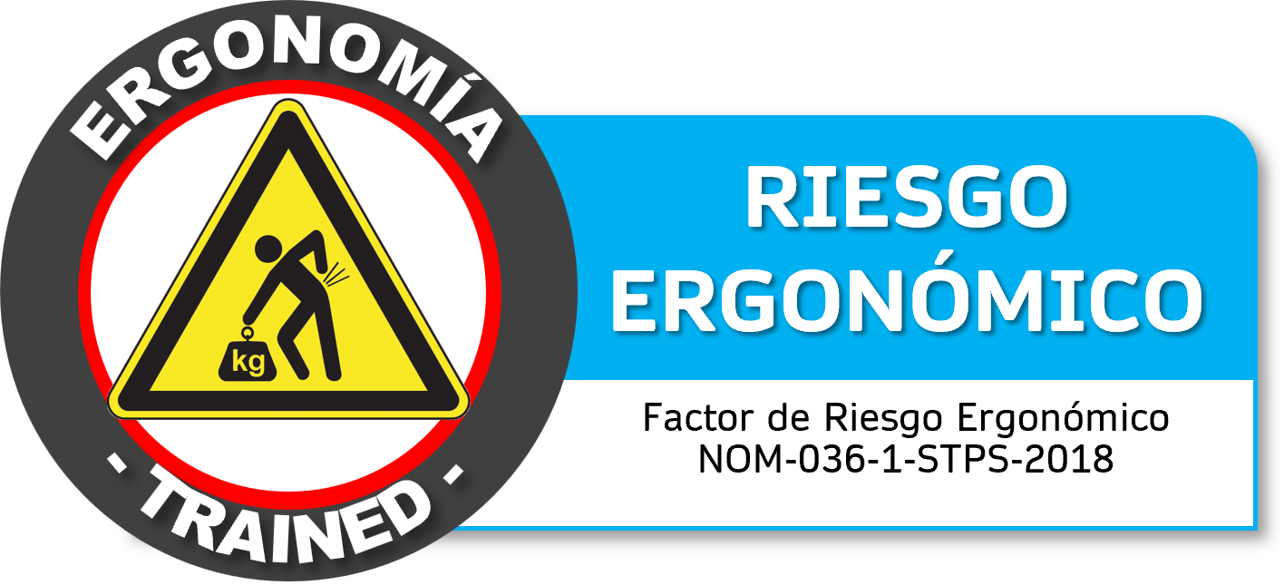 Curso de Ergonomía NOM 036 STPS