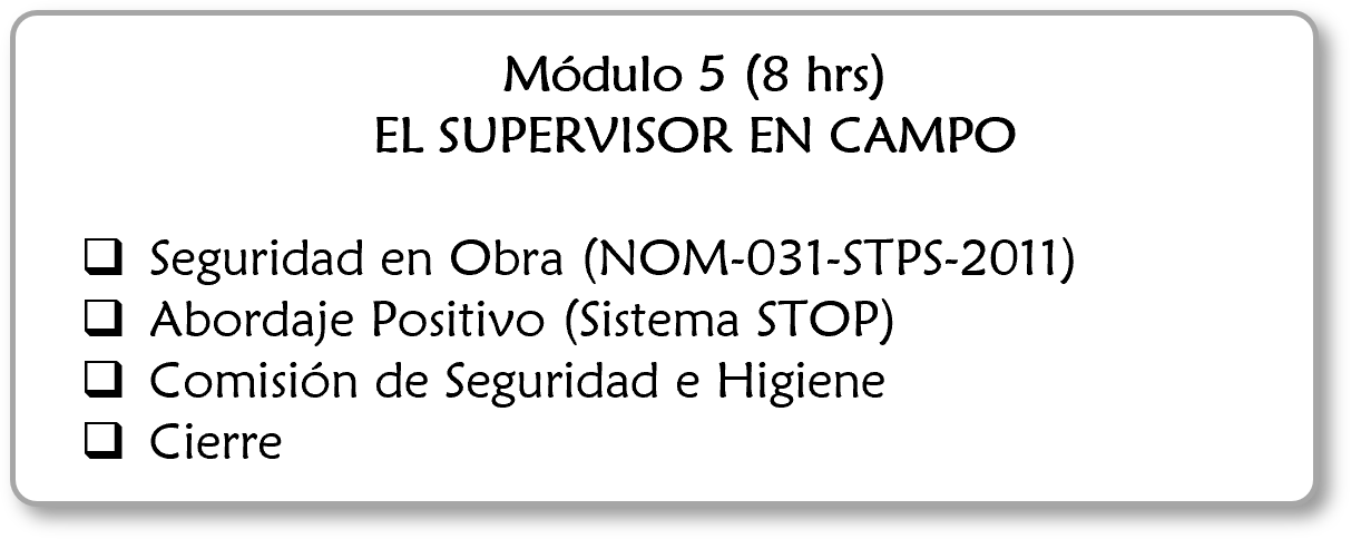 Cuatro puntos en una lista de un módulo sobre supervisión en campo, incluyendo seguridad en la obra, abordaje positivo, comisión de seguridad e higiene, y cierre.