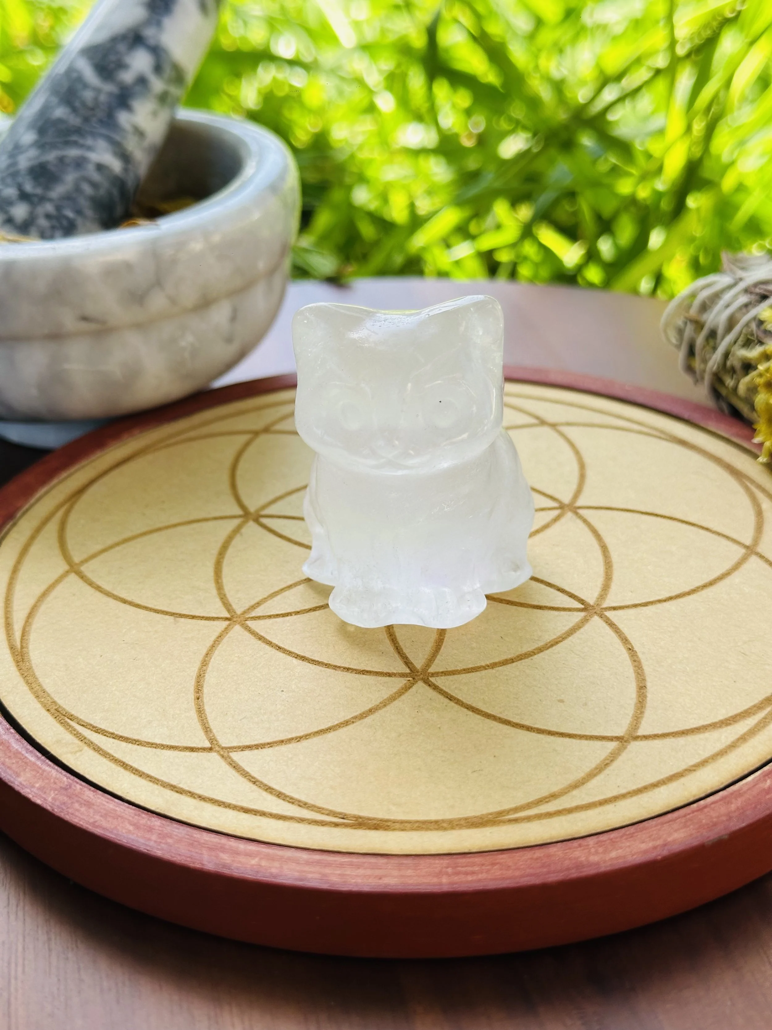 Clear Quartz Cat 🐈