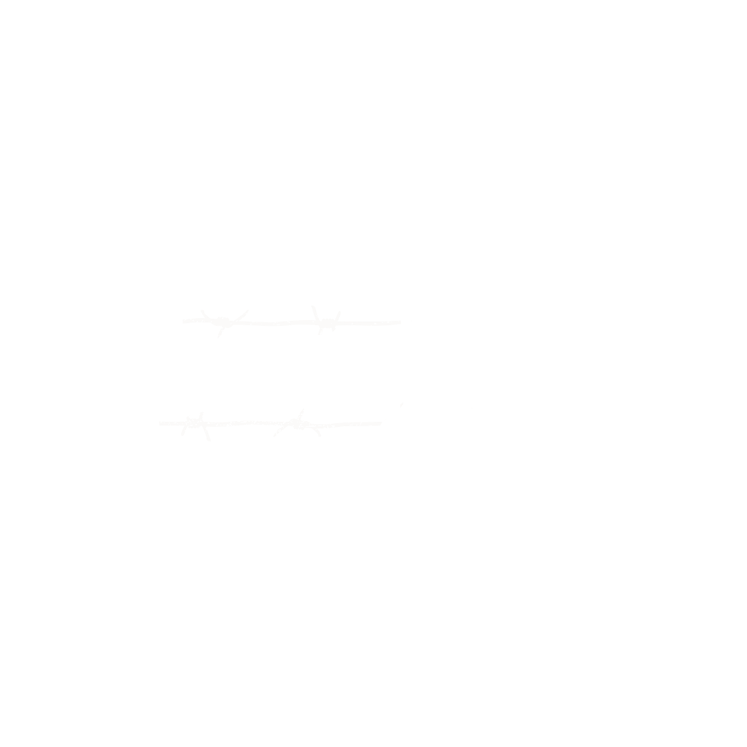 SSX