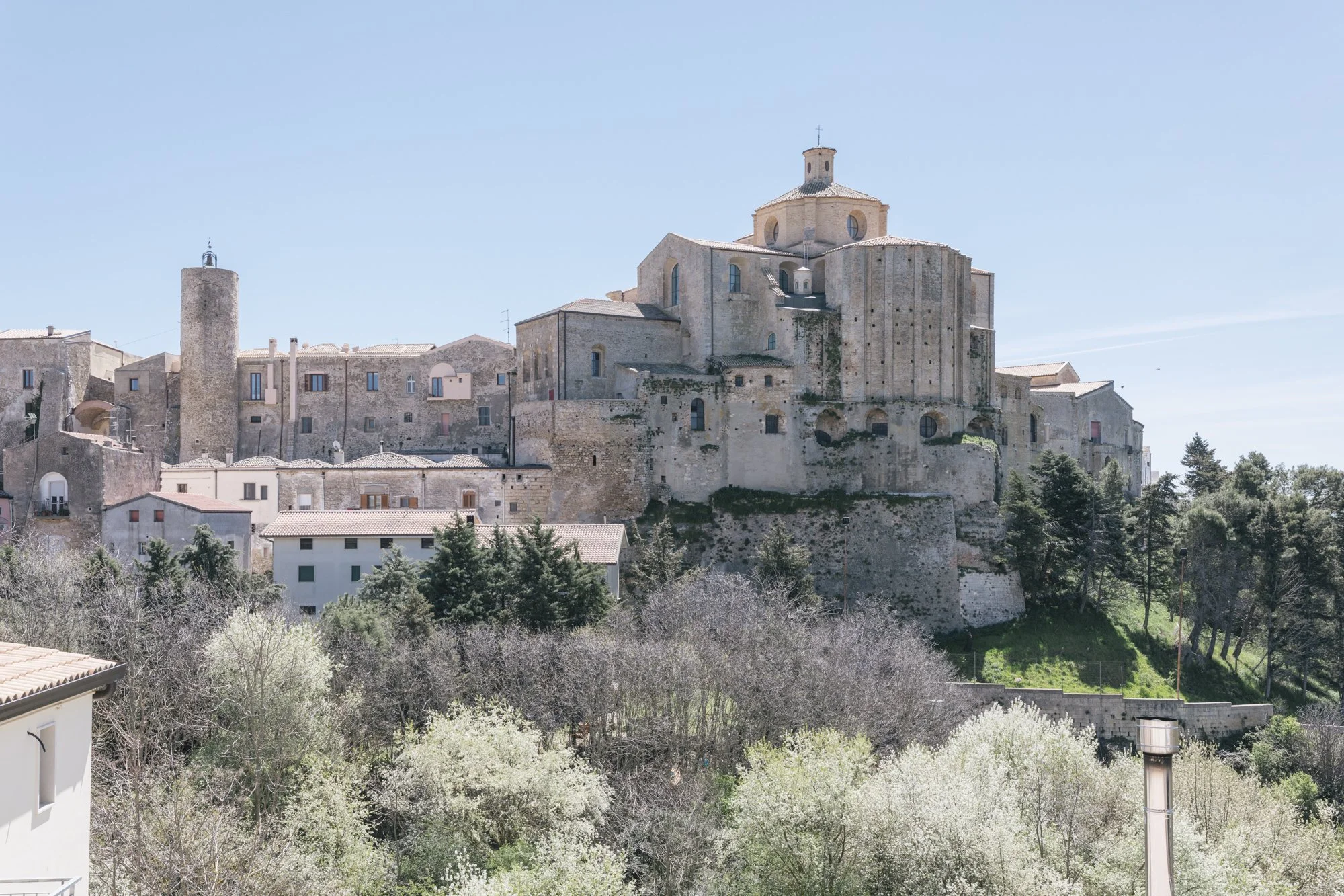 Irsina-Concattedrale di S. Maria Assunta_Mizzotti_024_0276.jpg