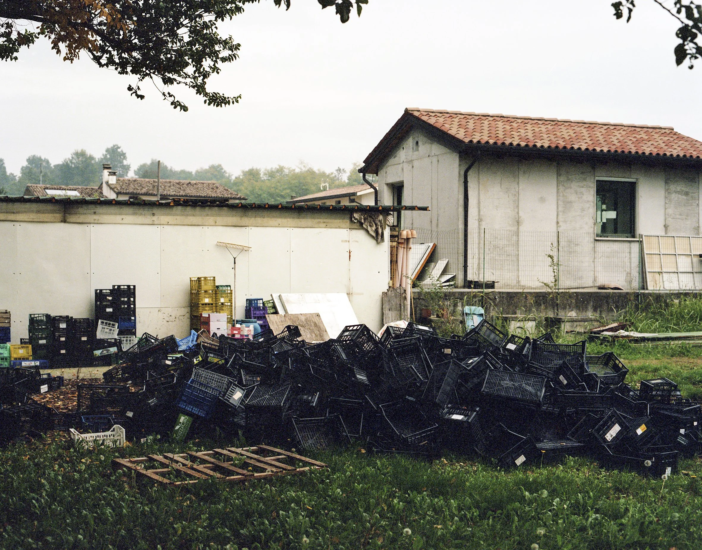 in_ordine_sparso_33 copia.jpg