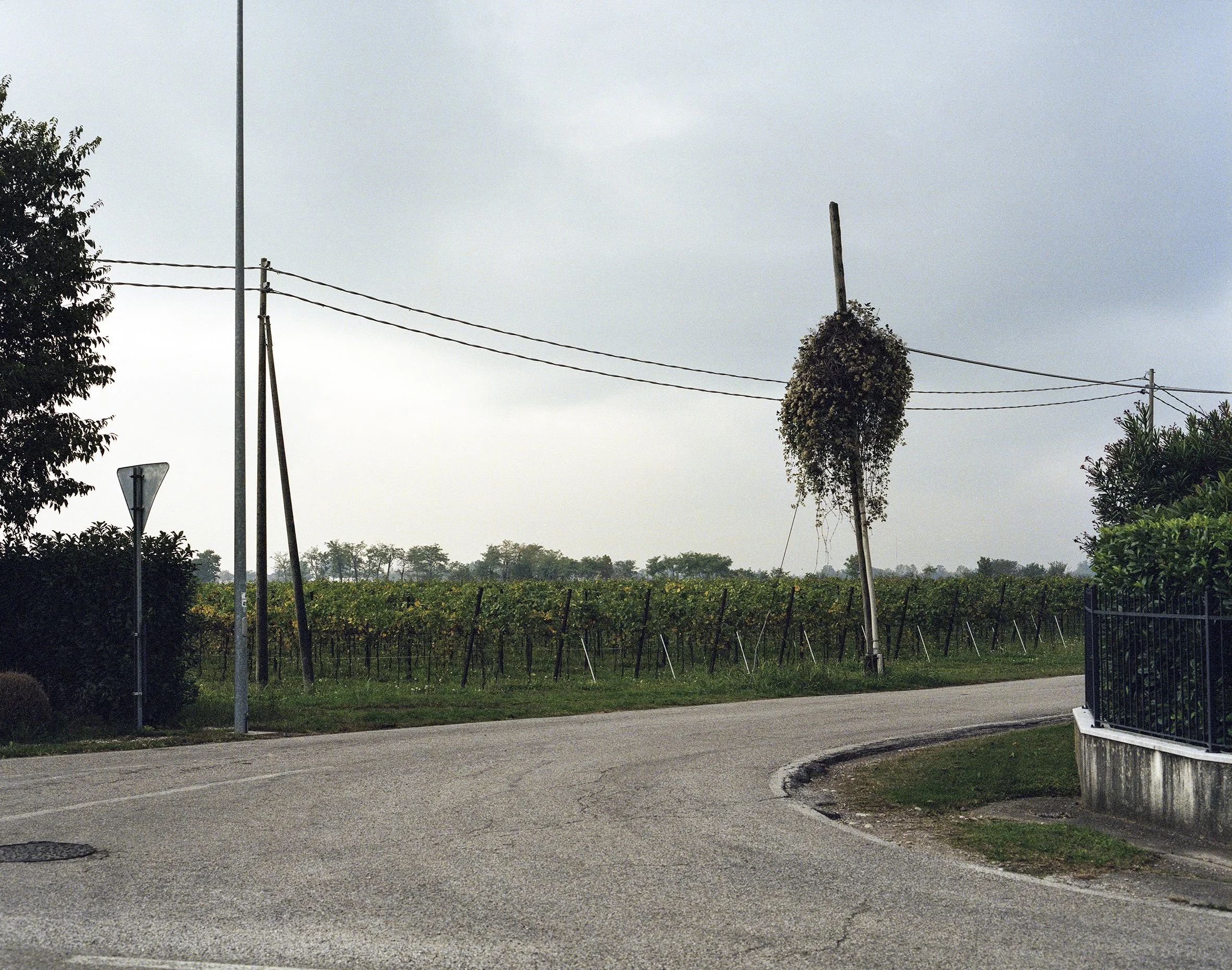 in_ordine_sparso_38 copia.jpg