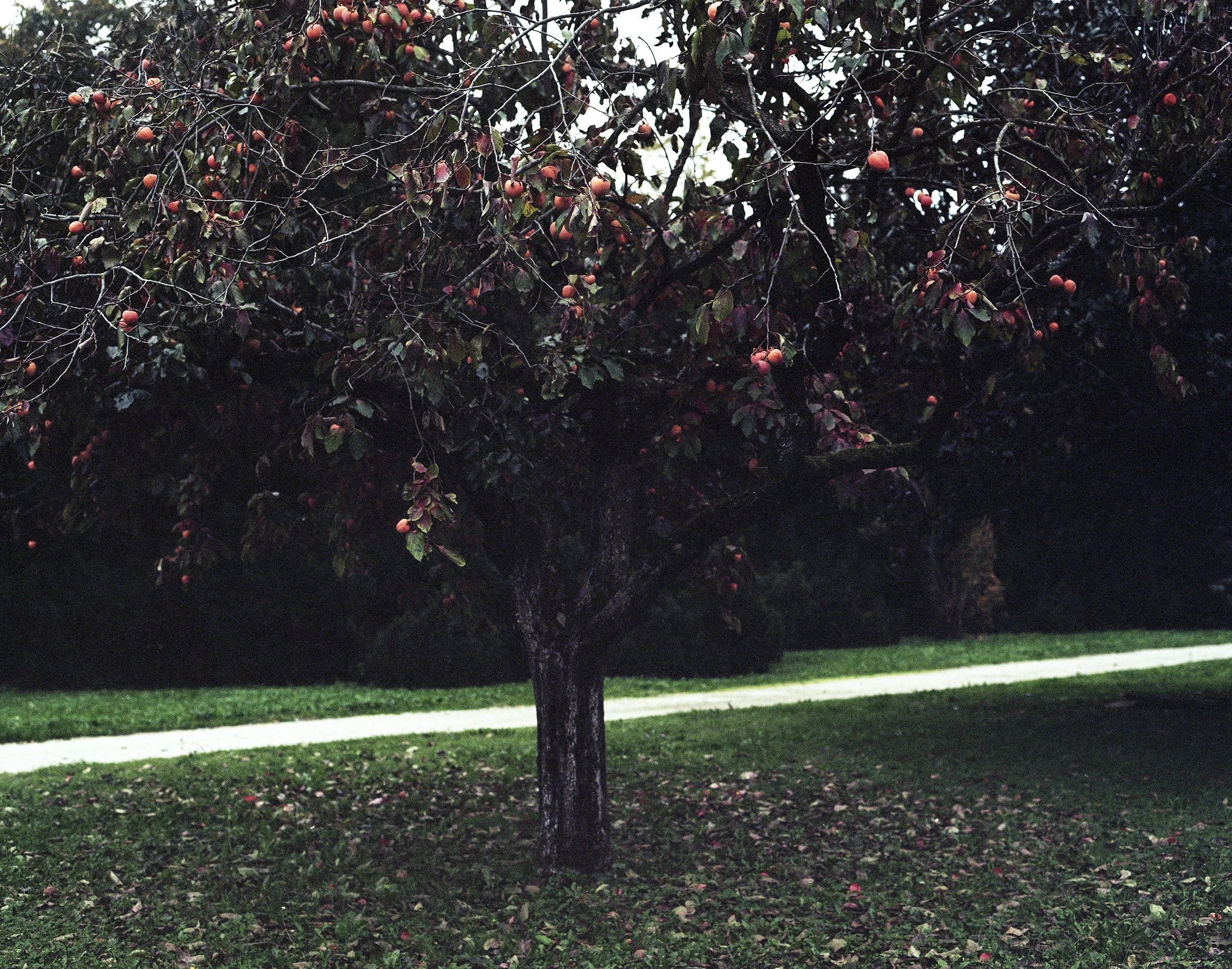 in_ordine_sparso_24 copia.jpg