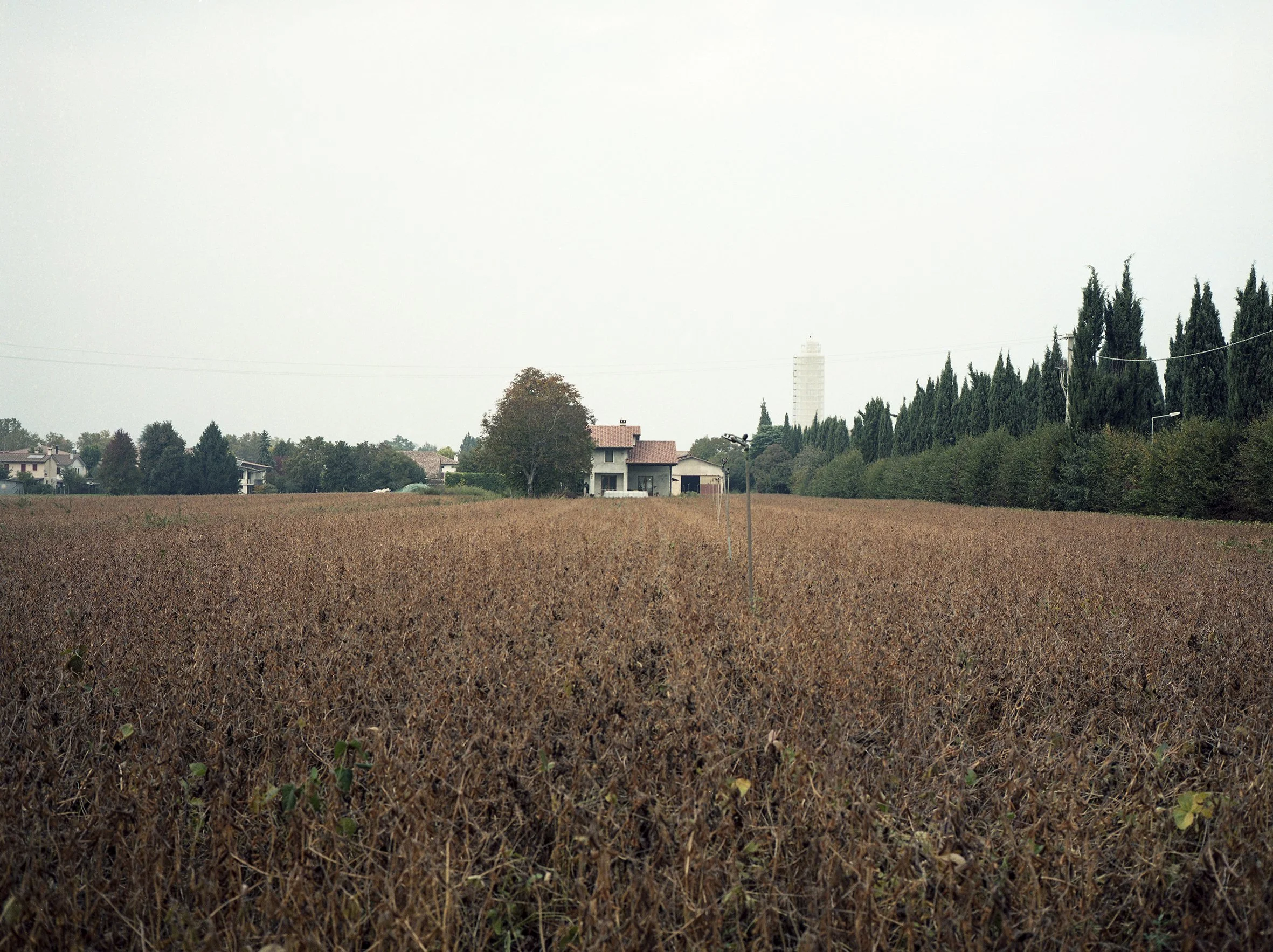 in_ordine_sparso_40 copia.jpg