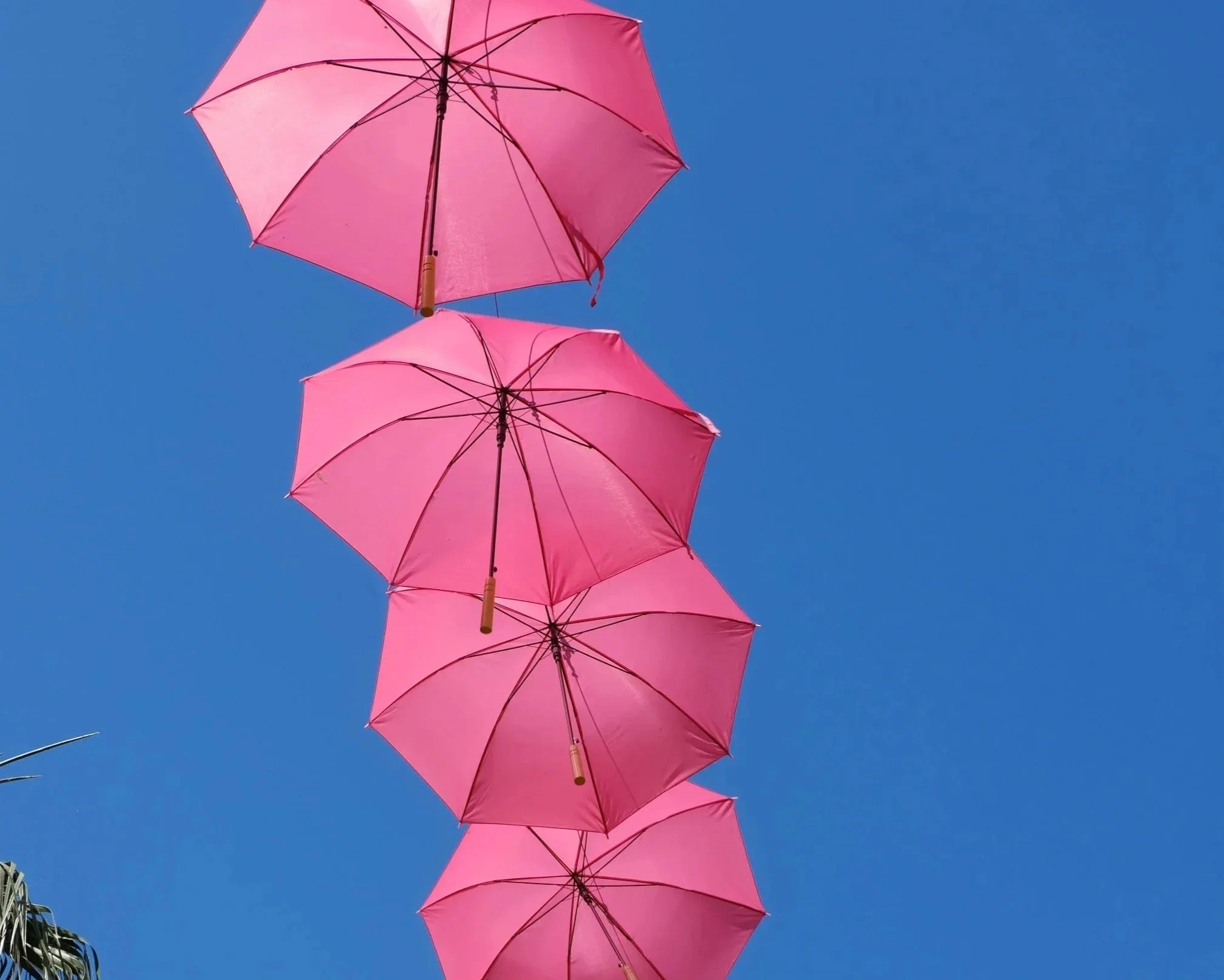 pinke Sonnenschirme vor blauem Himmel als Symbolbild für psychologische Unterstützung in schwierigen Zeiten