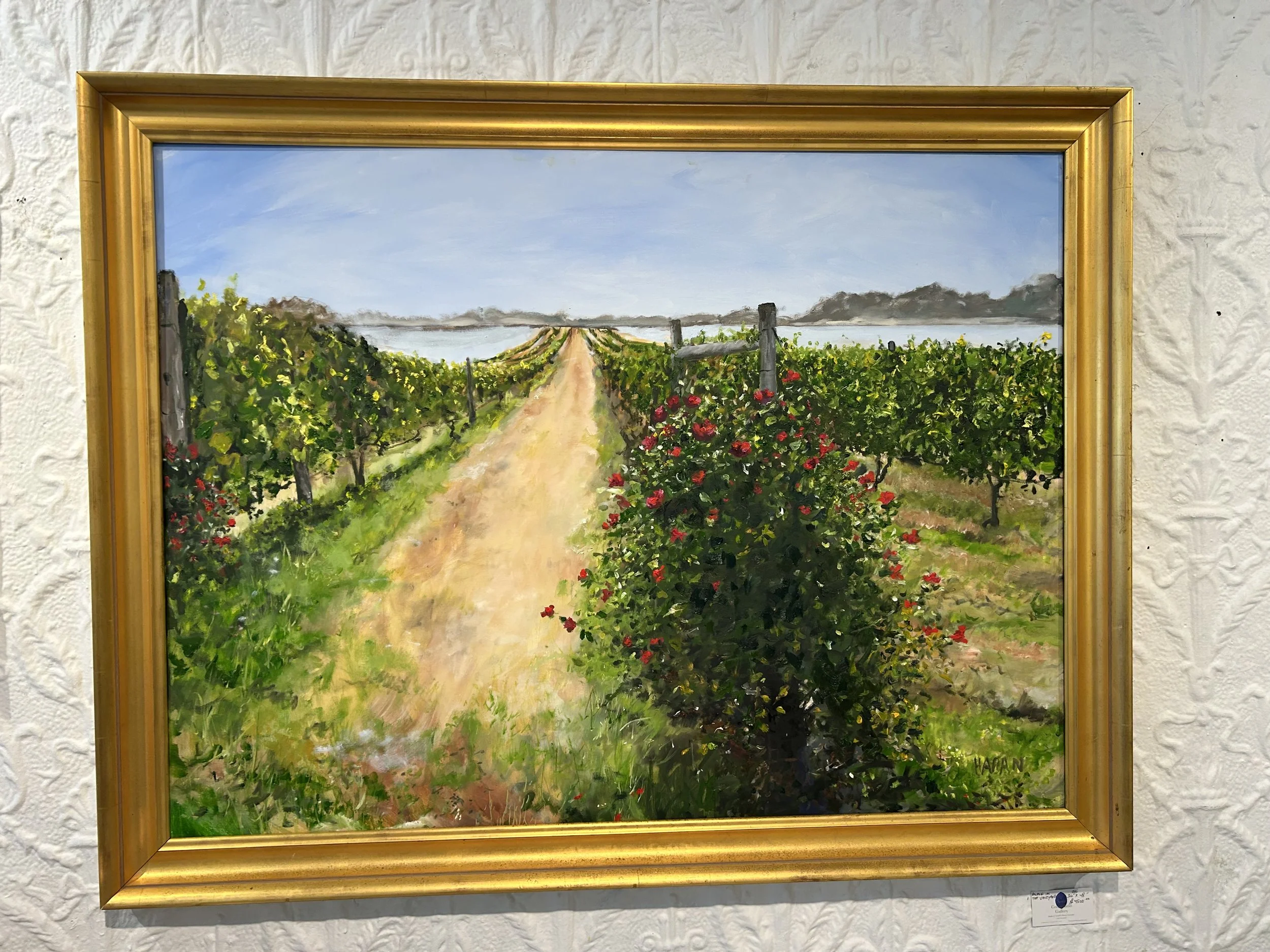 vineyard walk to the bay.jpeg