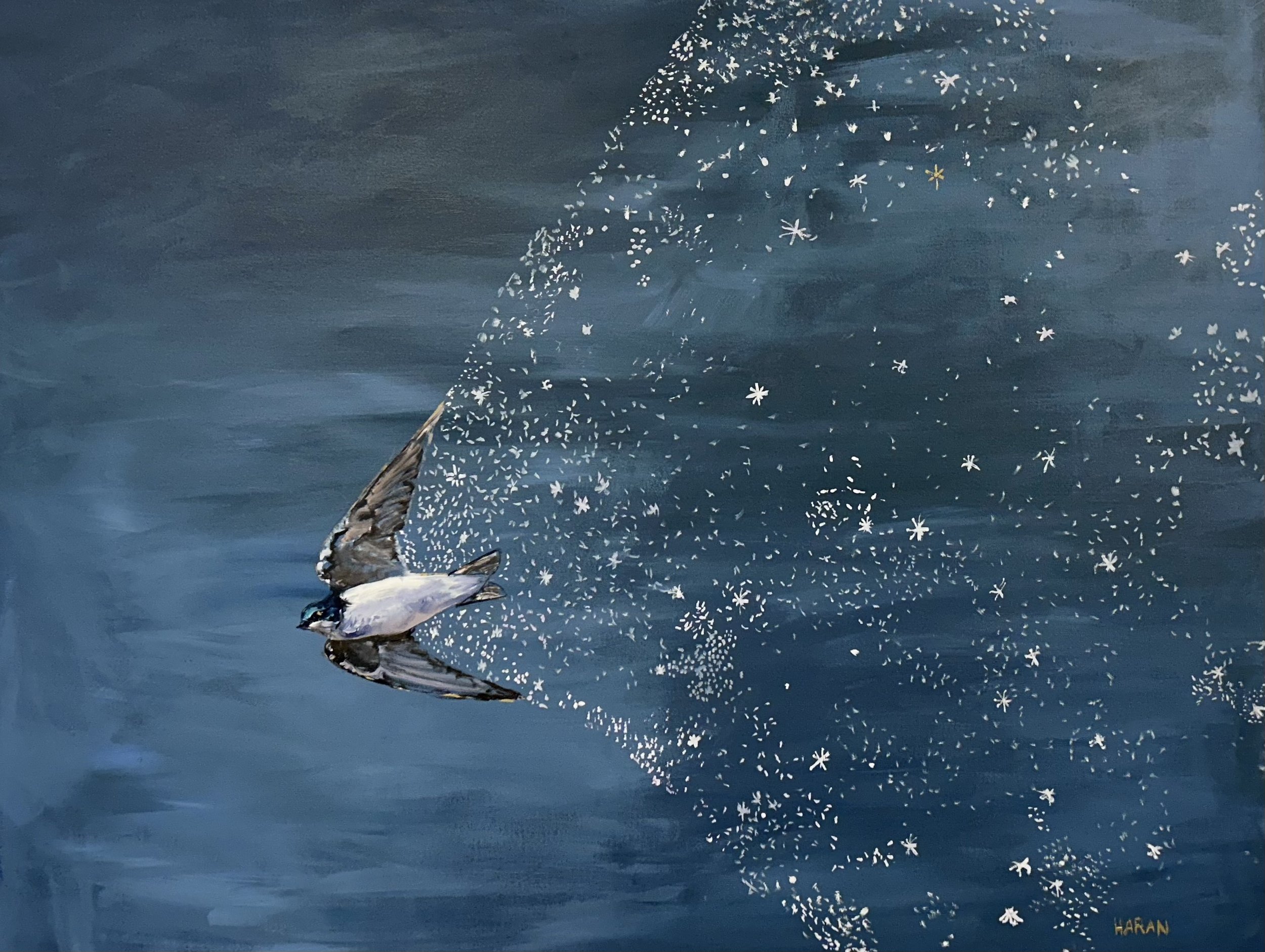 The Swallow Who Carried the Stars