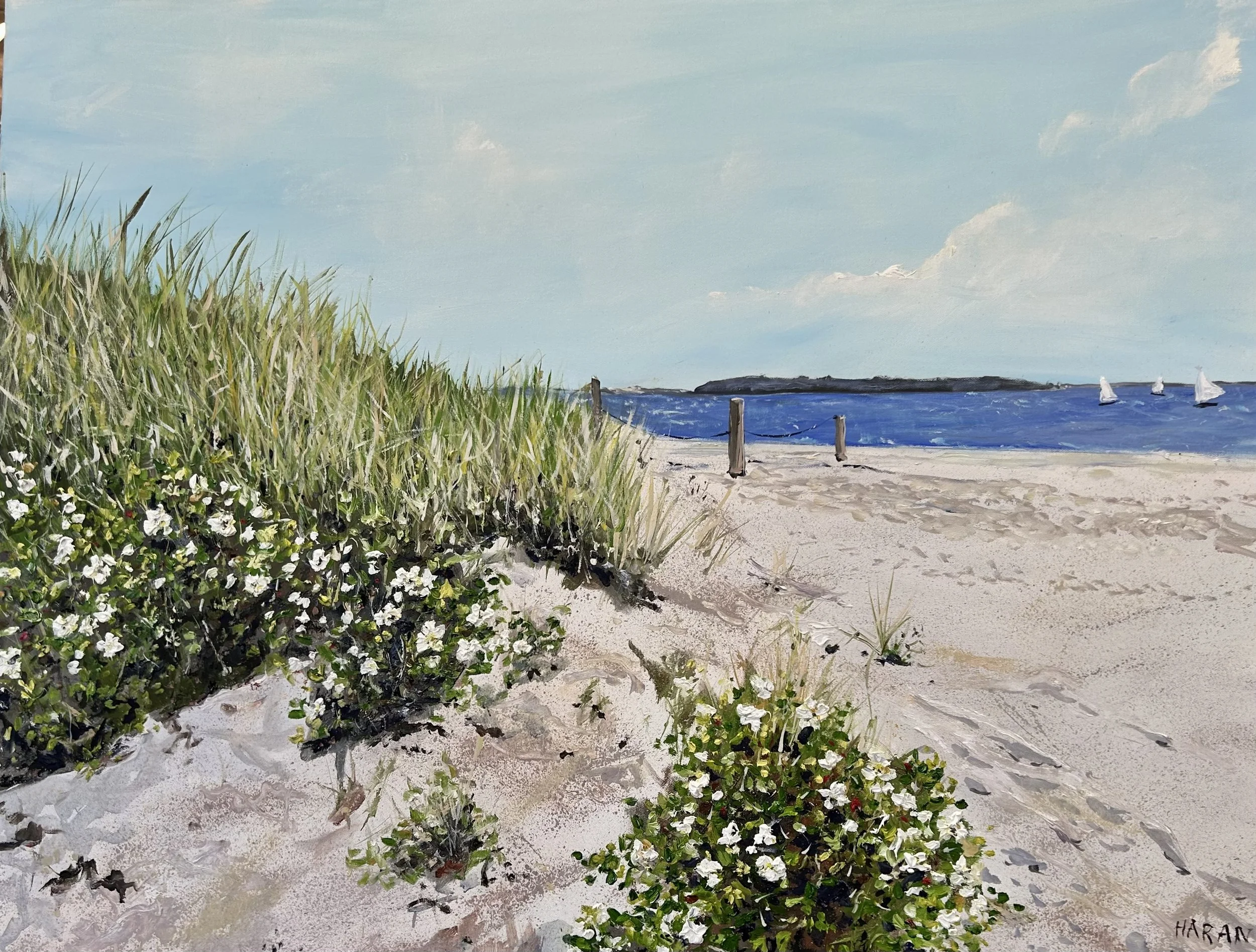 White Beach Roses,  New Suffolk