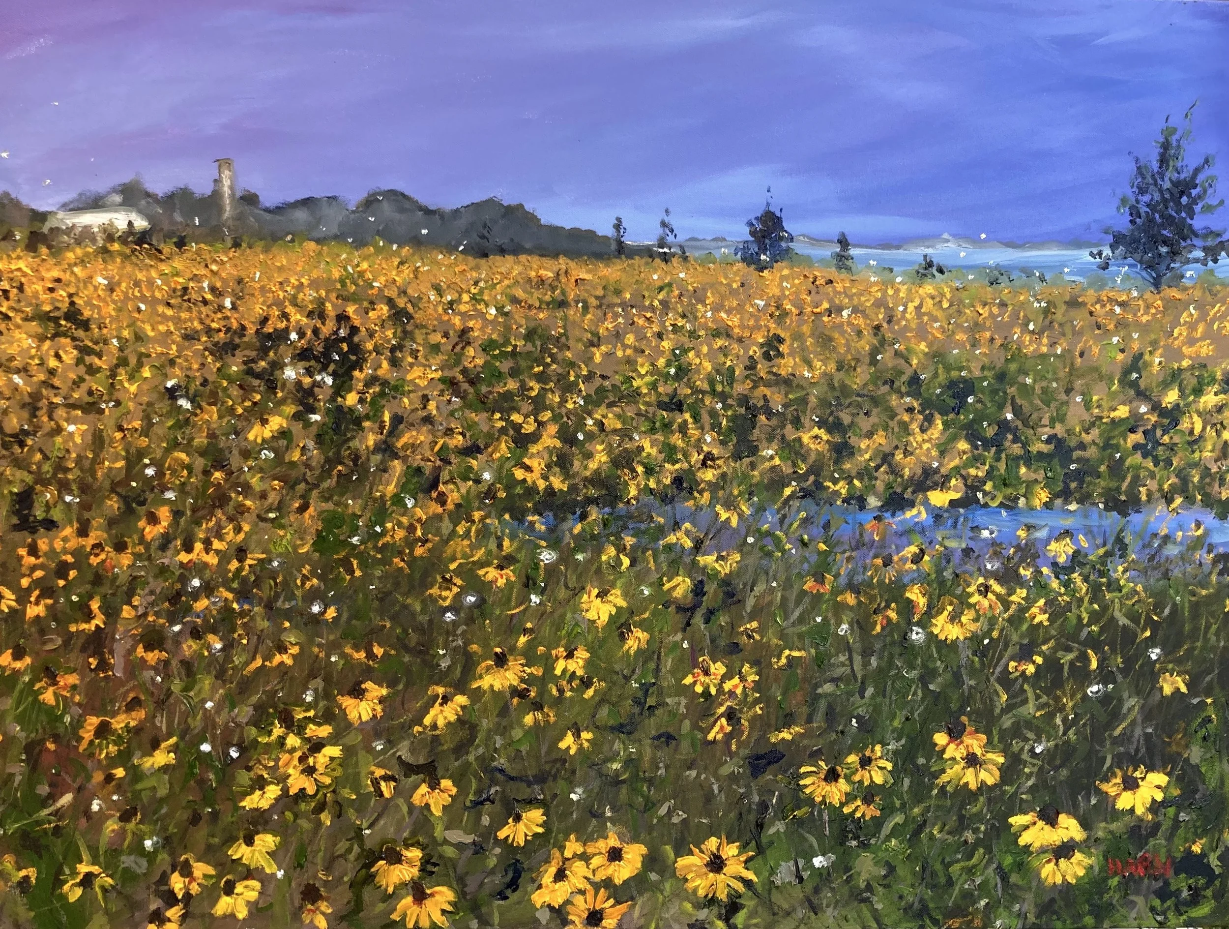 Black-eyed Susans and Fireflies, Port of Egypt
