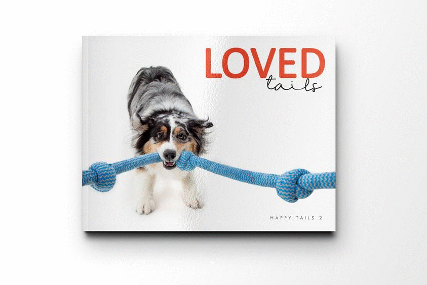 Book cover titled 'Loved Tails' featuring an Australian Shepherd dog holding a blue rope toy in its mouth.
