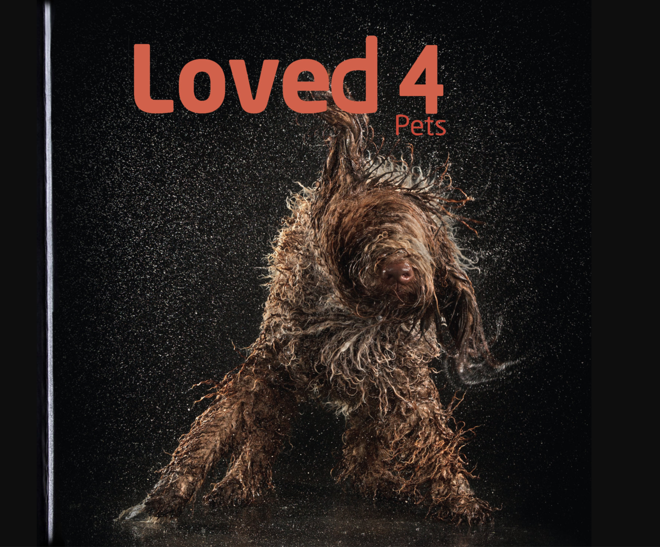 A wet, curly-haired dog shaking off water against a black background with water droplets flying around, on the cover of a book titled 'Loved 4 Pets'.