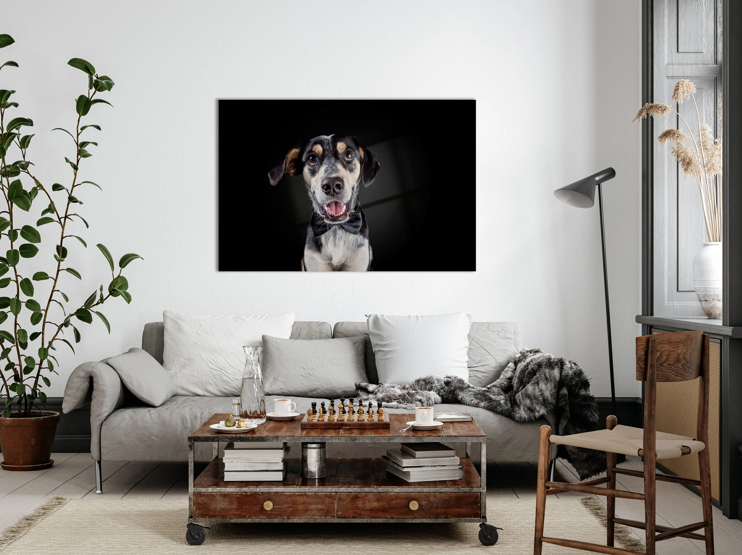 Living room with a white sofa, a potted plant, a coffee table with chess, books, and a tea set, a blanket, a wooden chair, a floor lamp, and a large photo of a dog with a bow tie on the wall.