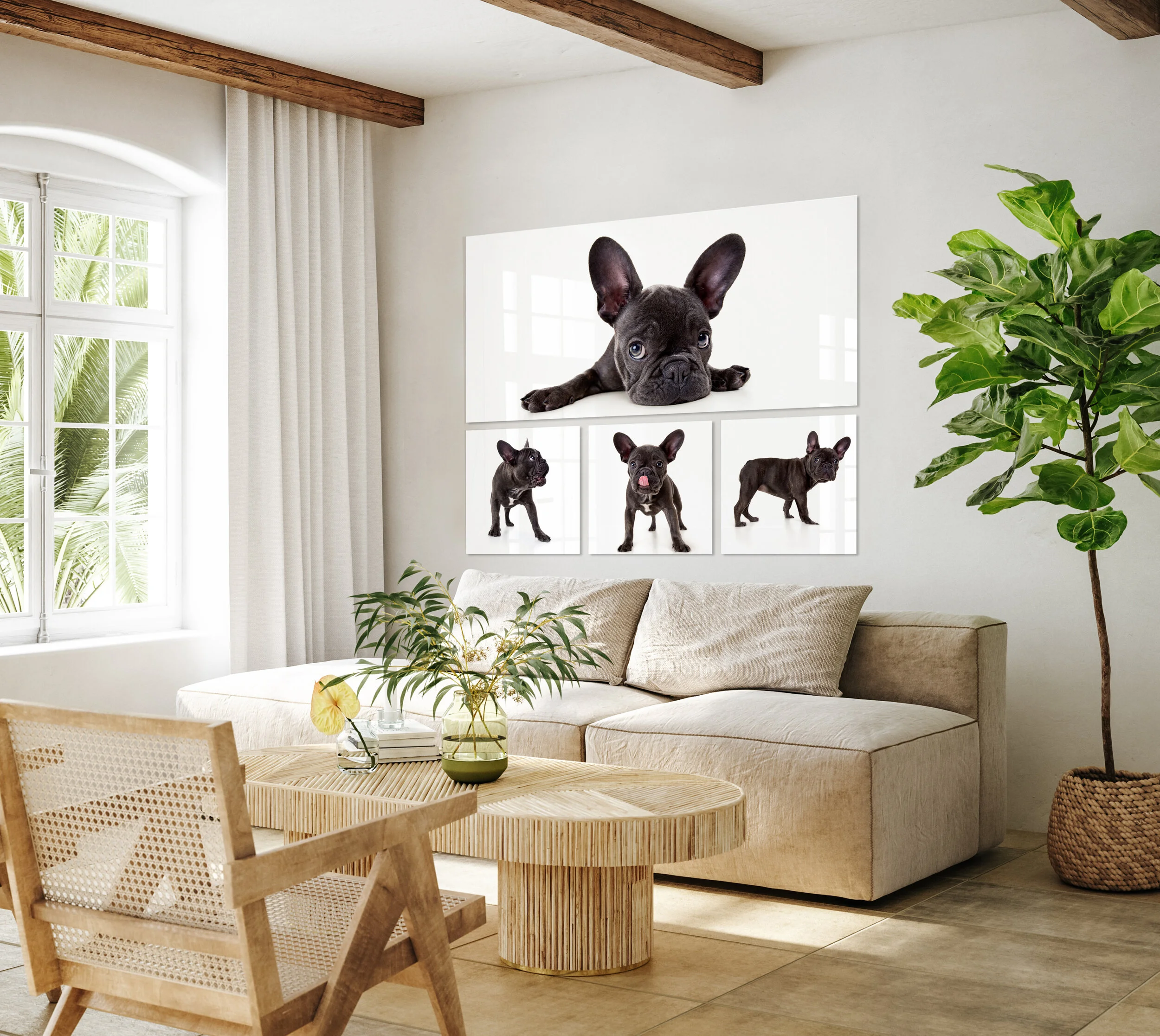 Living room with wall art featuring multiple photos of a French Bulldog puppy, a large window, beige sofa, wooden table with plants, and a large potted plant