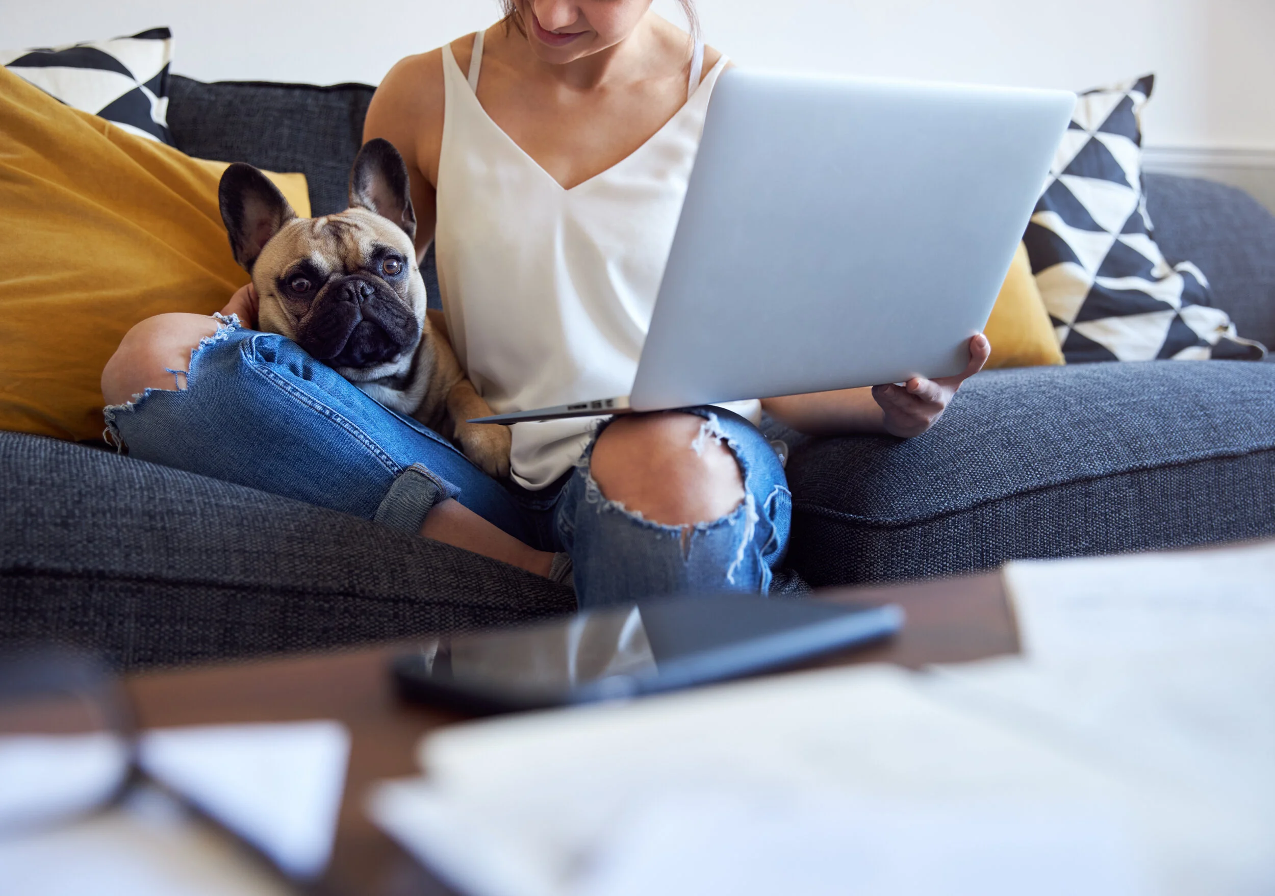 A woman sitting on a dark gray couch with a French bulldog on her lap, using a silver laptop in a living room with pillows and a wooden table in front.