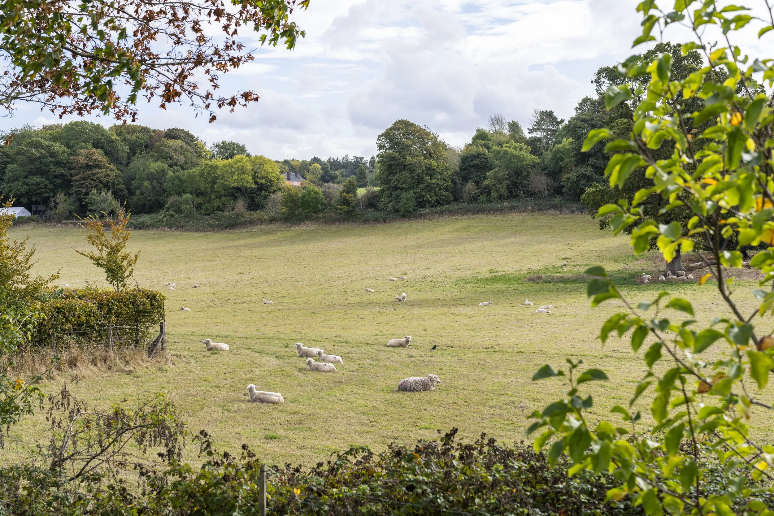 View to the rear of the houser.jpg