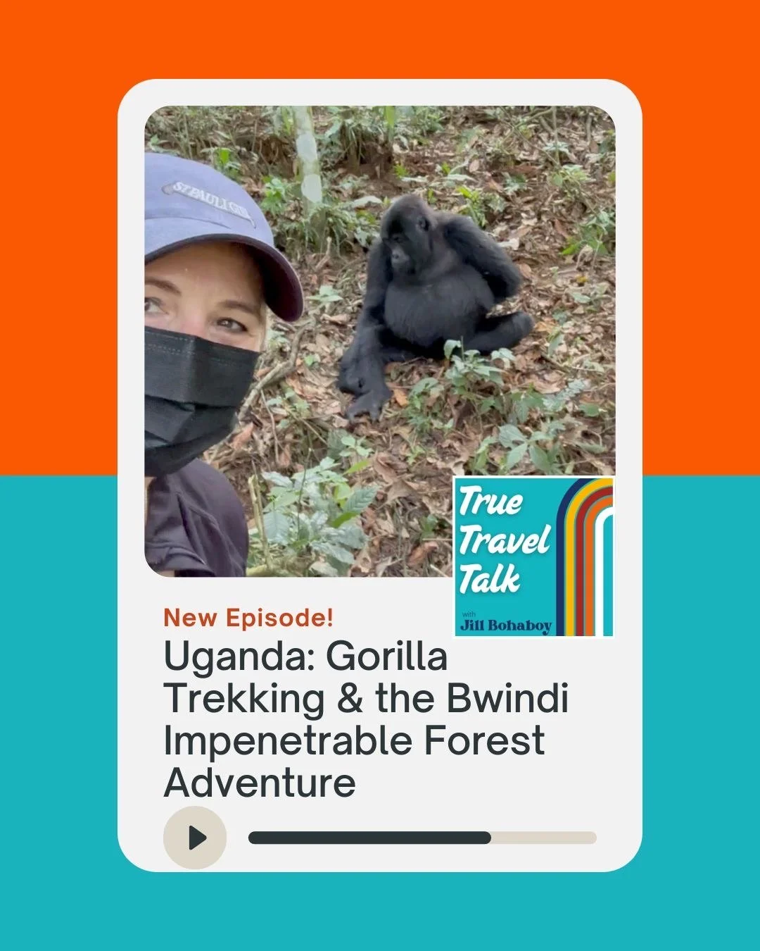 Uganda: Gorilla Trekking &amp; Bwindi Impenetrable Forest Adventure