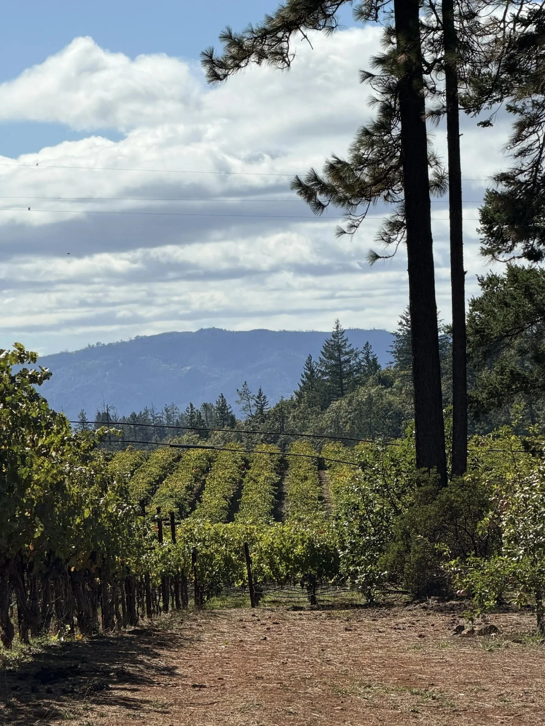 image23.jpg