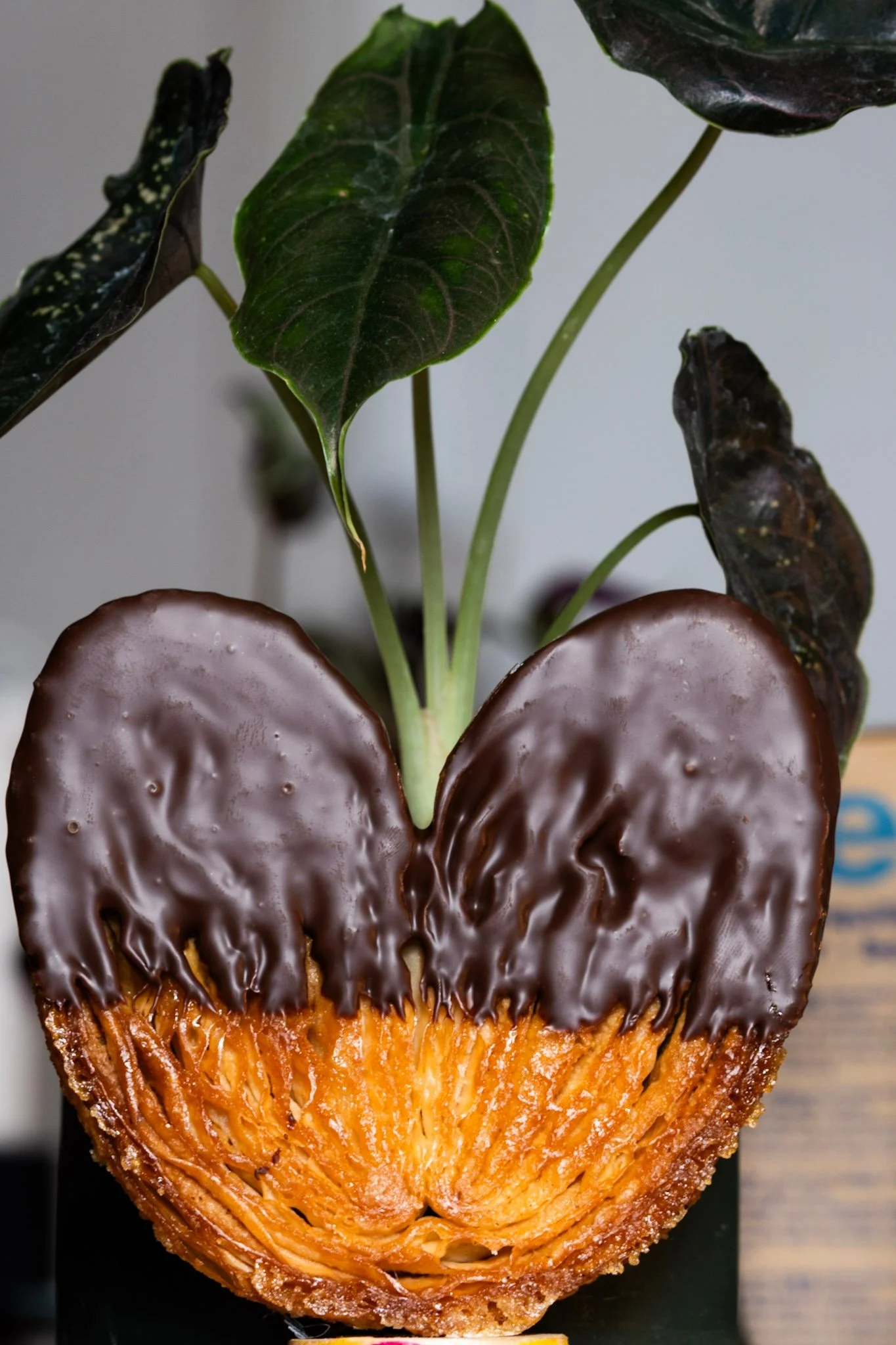 Palmera de chocolate con un caramelizado perfecto y una cobertura de 55%