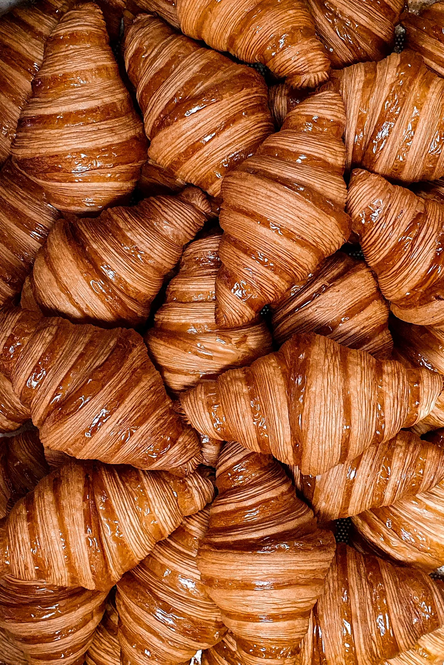 Conjunto de croissants en una bandeja de horno con un dorado y brillo espectacular