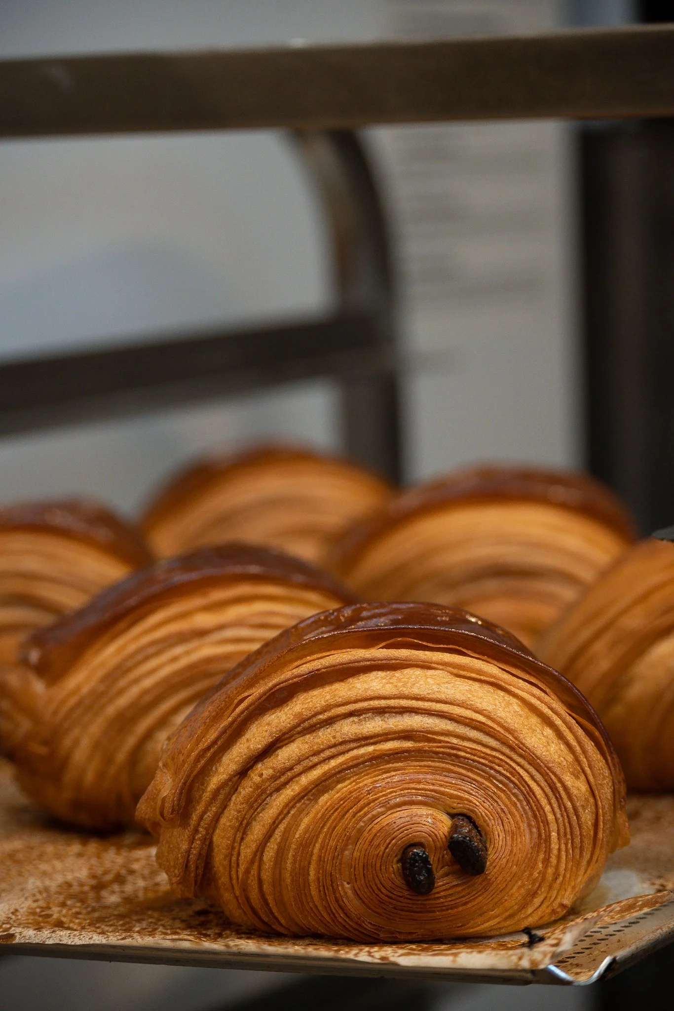 Pain au chocolat o chocolatine en la bandeja recién salido del horno con un dorado perfecto