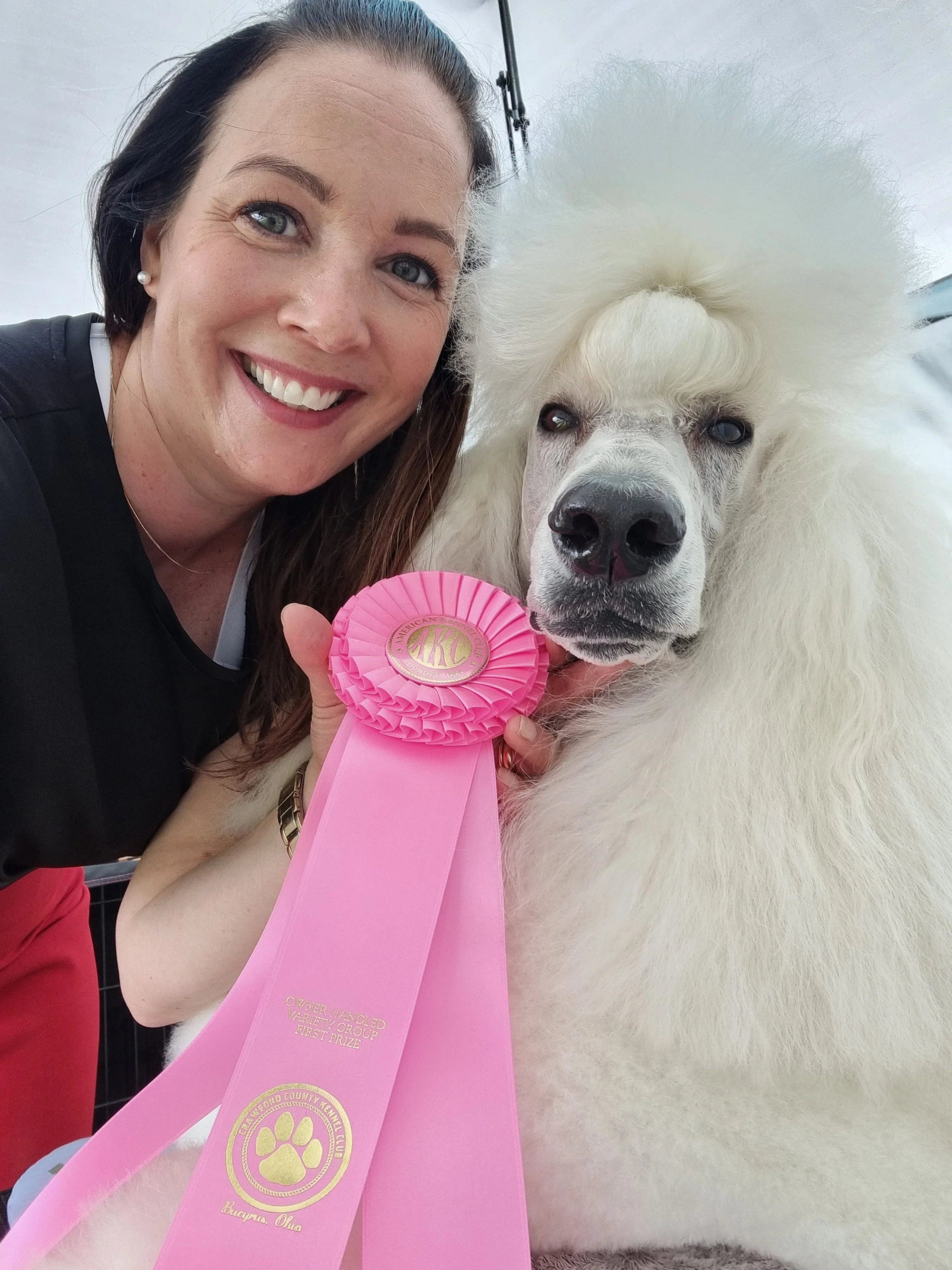 A woman smiling next to a large white poodle with a fluffy coat and a styled topknot, holding a pink ribbon with a gold medallion that reads 'AKC' and inscriptions indicating a dog show award.