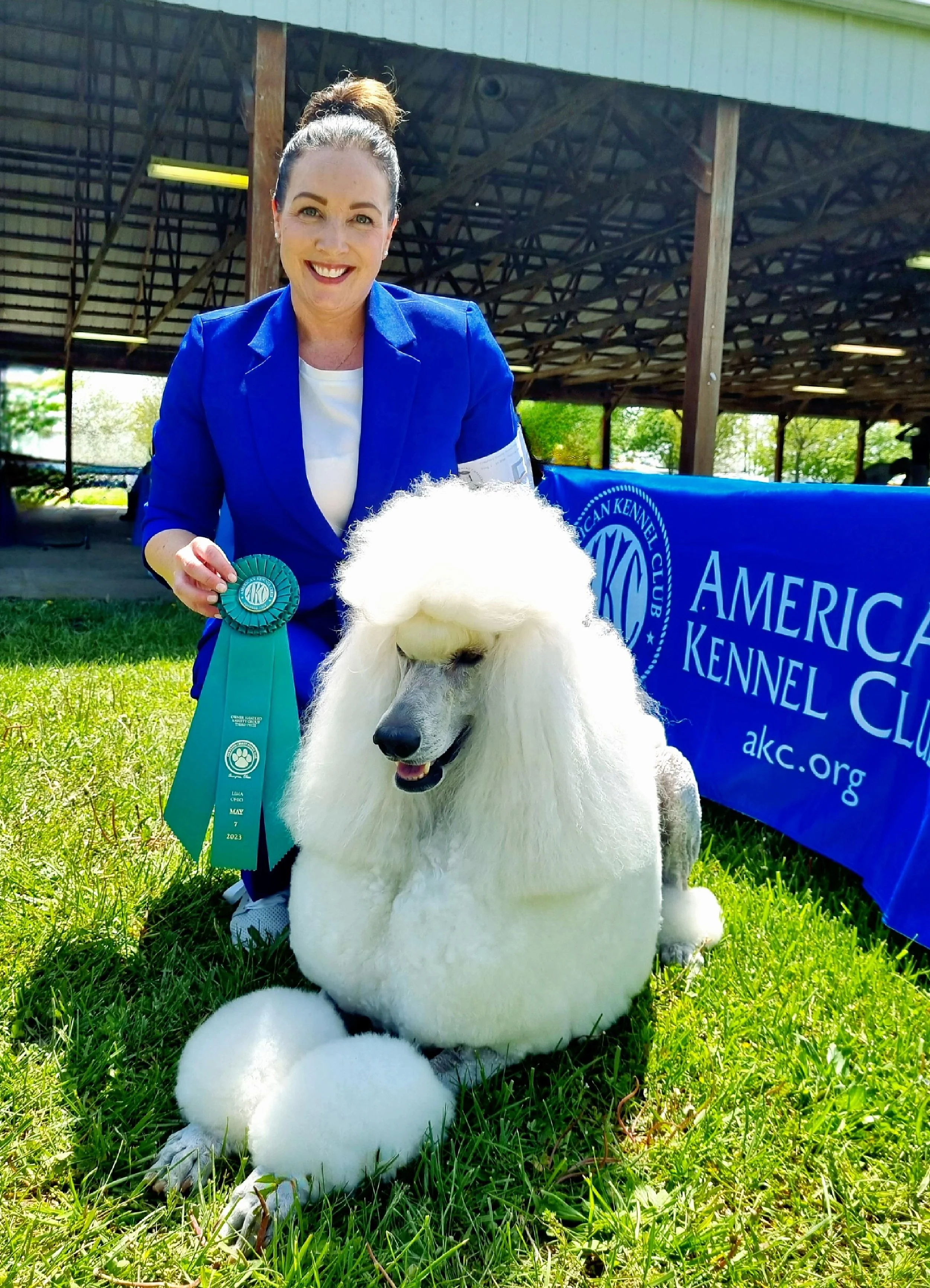 A woman in a blue blazer holding a ribbon, standing behind a white poodle with a styled haircut, sitting on green grass at an outdoor dog show. There is a blue banner in the background that reads 'American Kennel Club'.