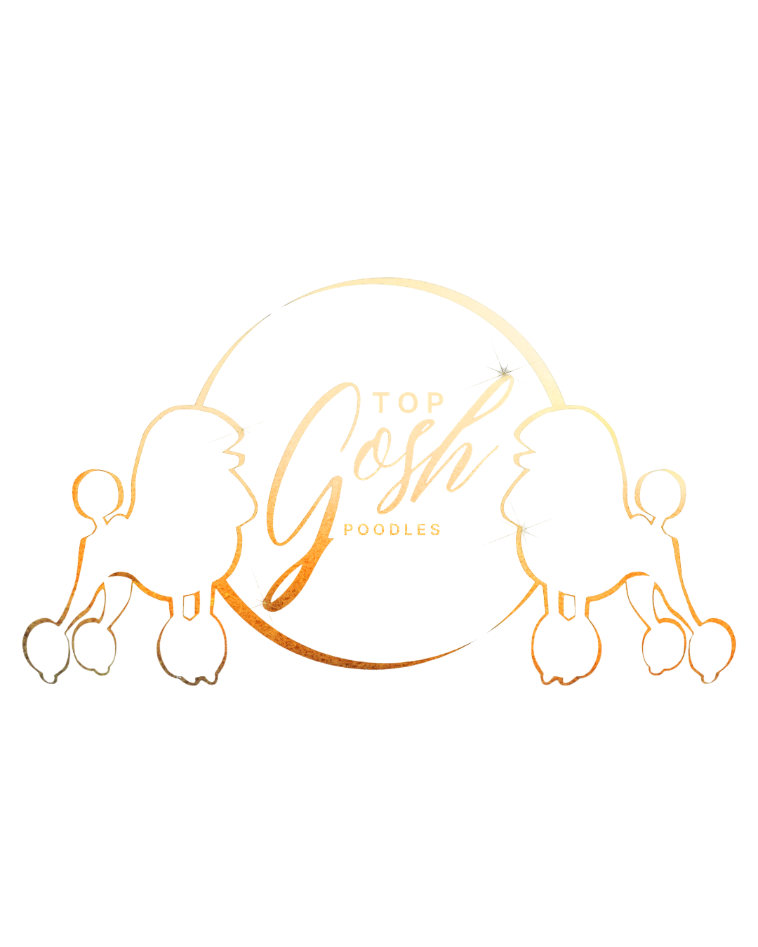 Top Gosh Poodles
