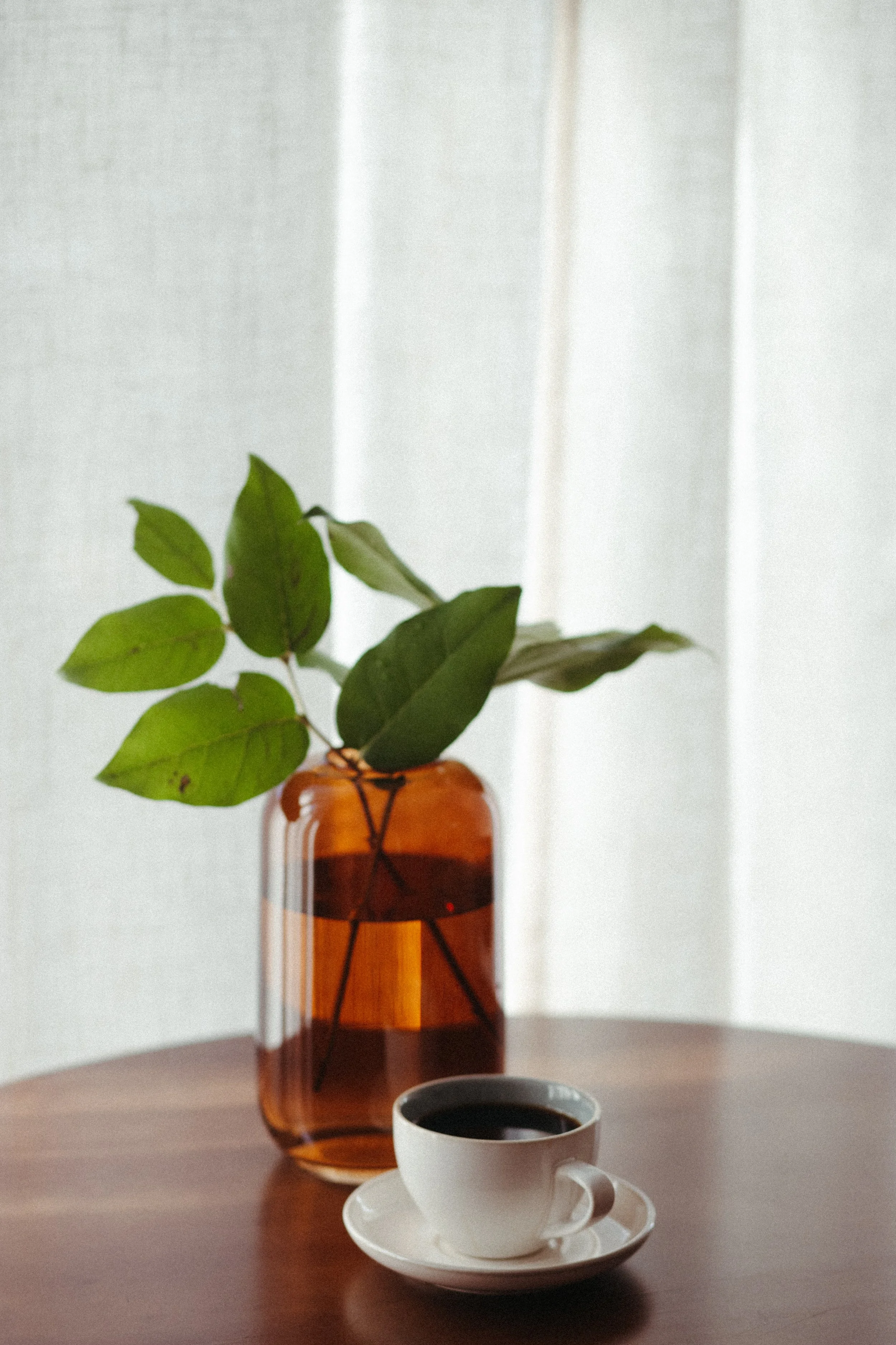 A white cup filled with black coffee. My work also includes identity focused therapy, self worth therapy, healing from shame, inner child healing, self trust therapy, and trauma identity healing for deeper personal growth.