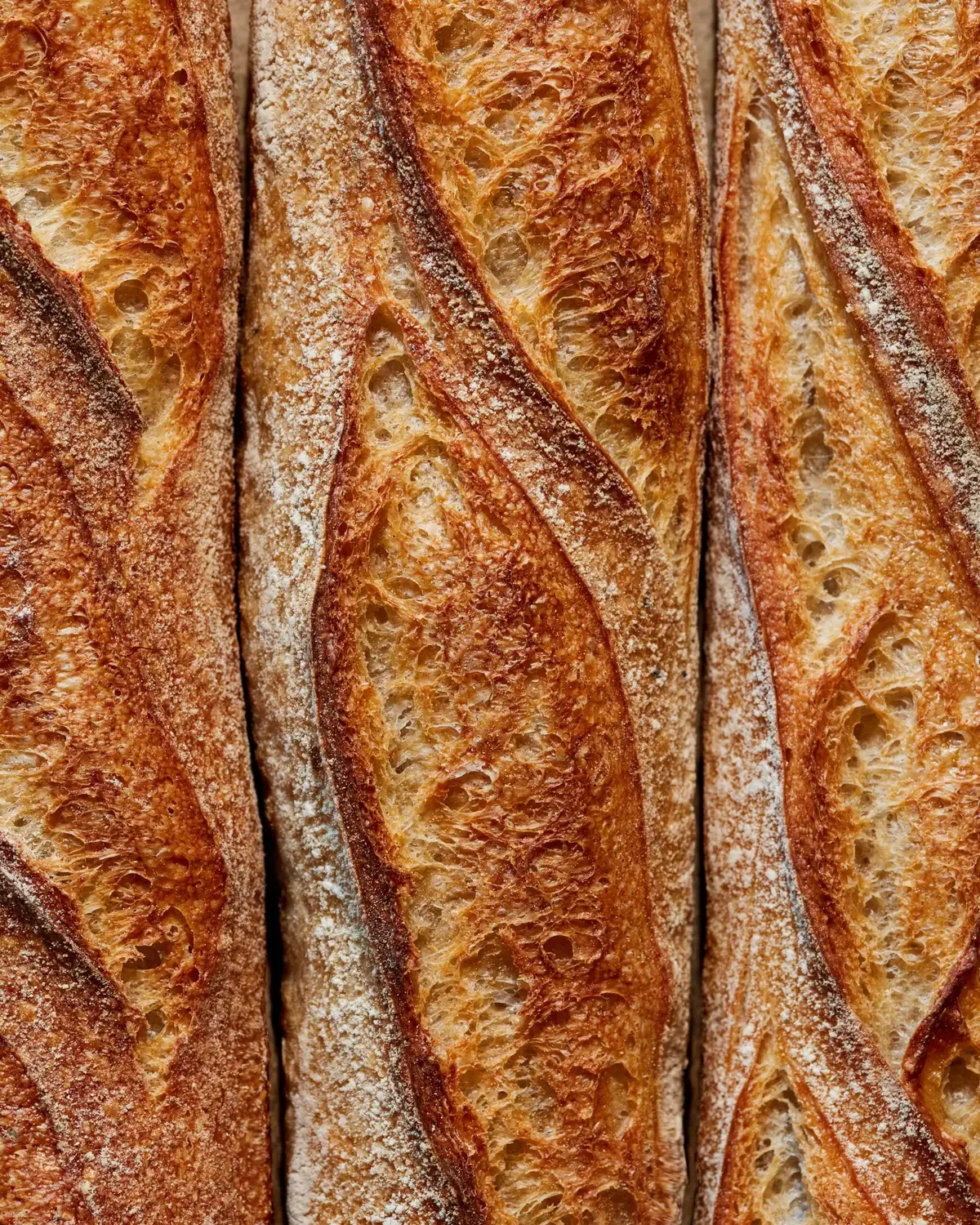 baguette 2.webp