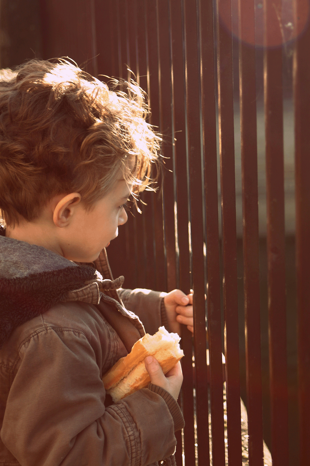 A young boy with curly hair, wearing a brown jacket, is holding a sandwich and looking through a metal fence.