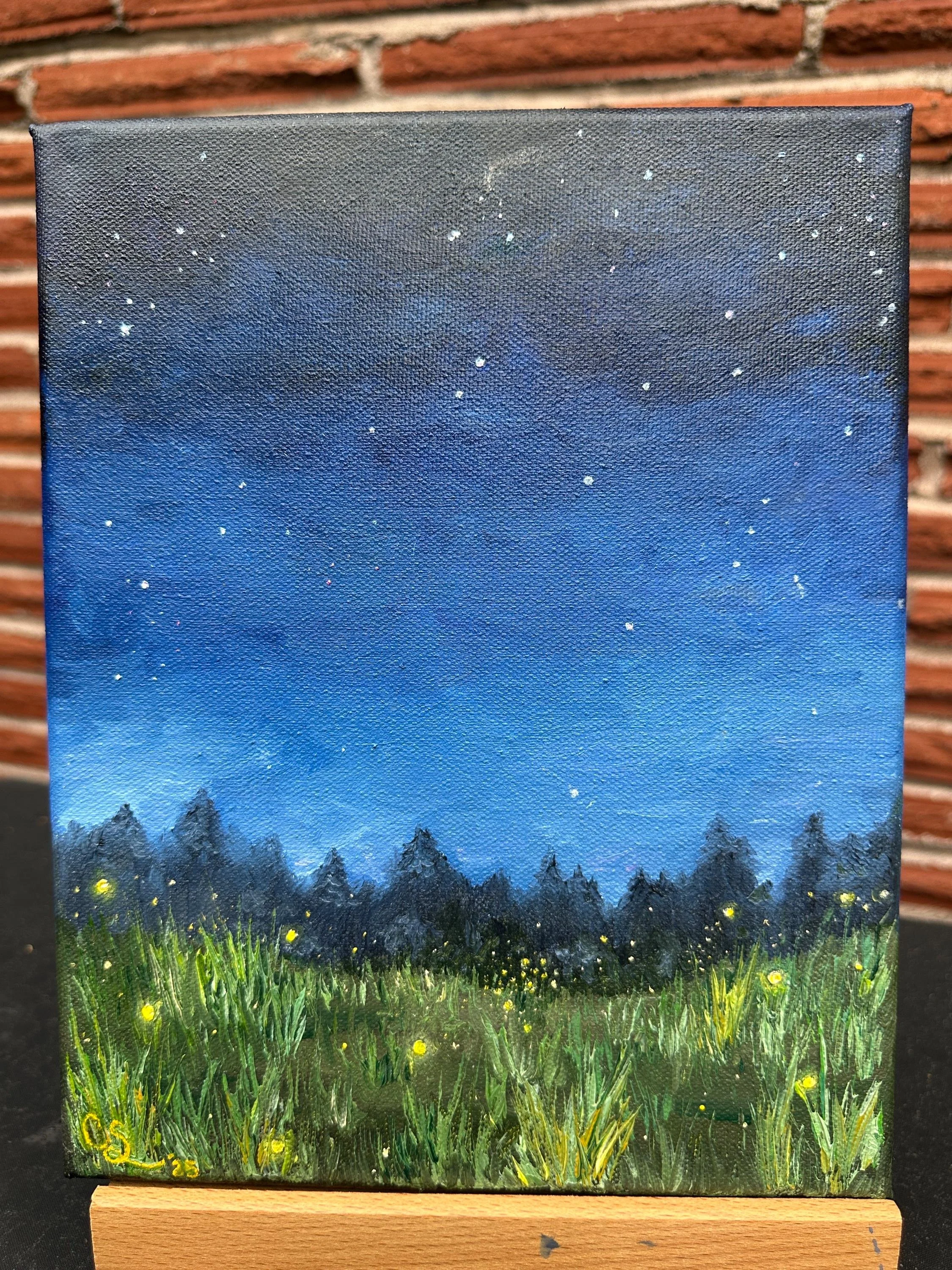 Nighttime Meadow